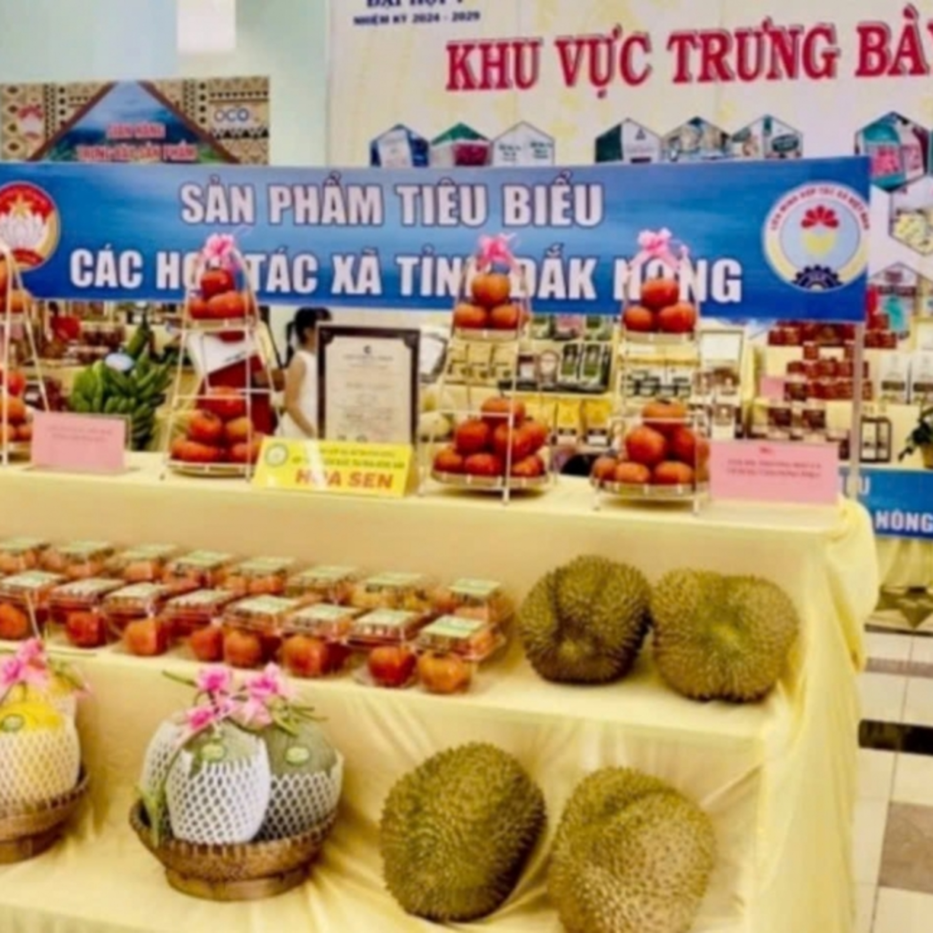 Sức sống hàng Việt - Chế biến sâu, nâng tầm giá trị sản phẩm OCOP-kết nối, lan tỏa giá trị Việt episode artwork