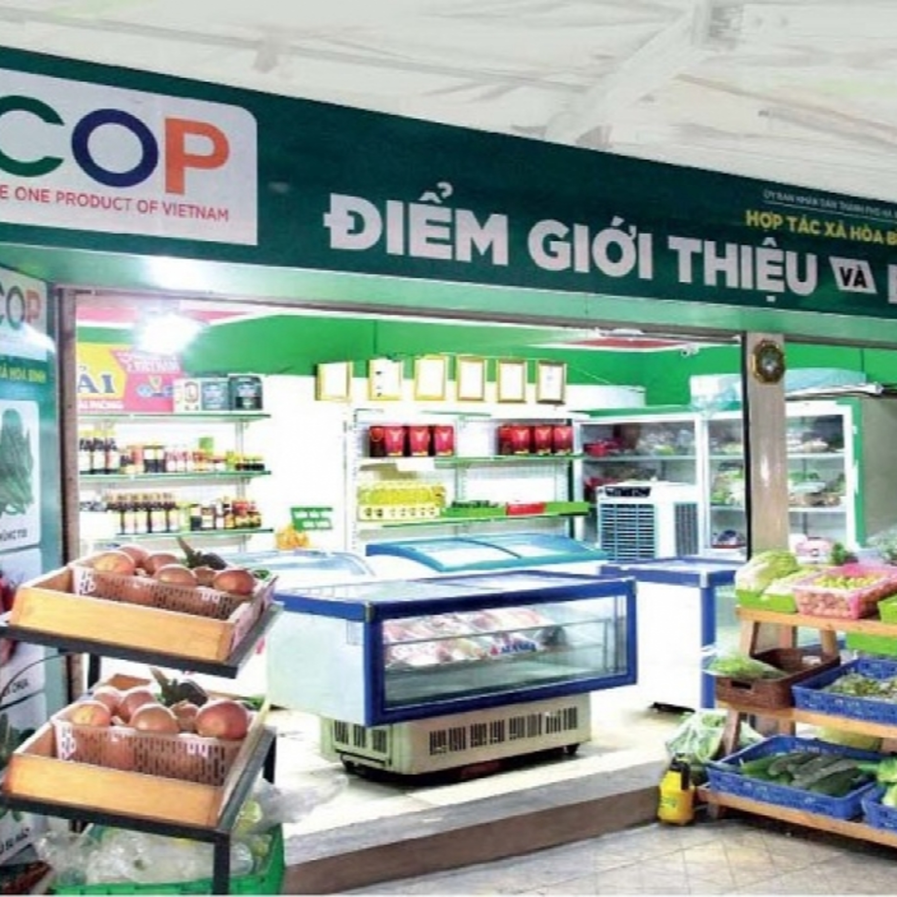 Sức sống hàng Việt - Hỗ trợ quảng bá, giới thiệu các sản phẩm OCOP đến với người tiêu dùng episode artwork