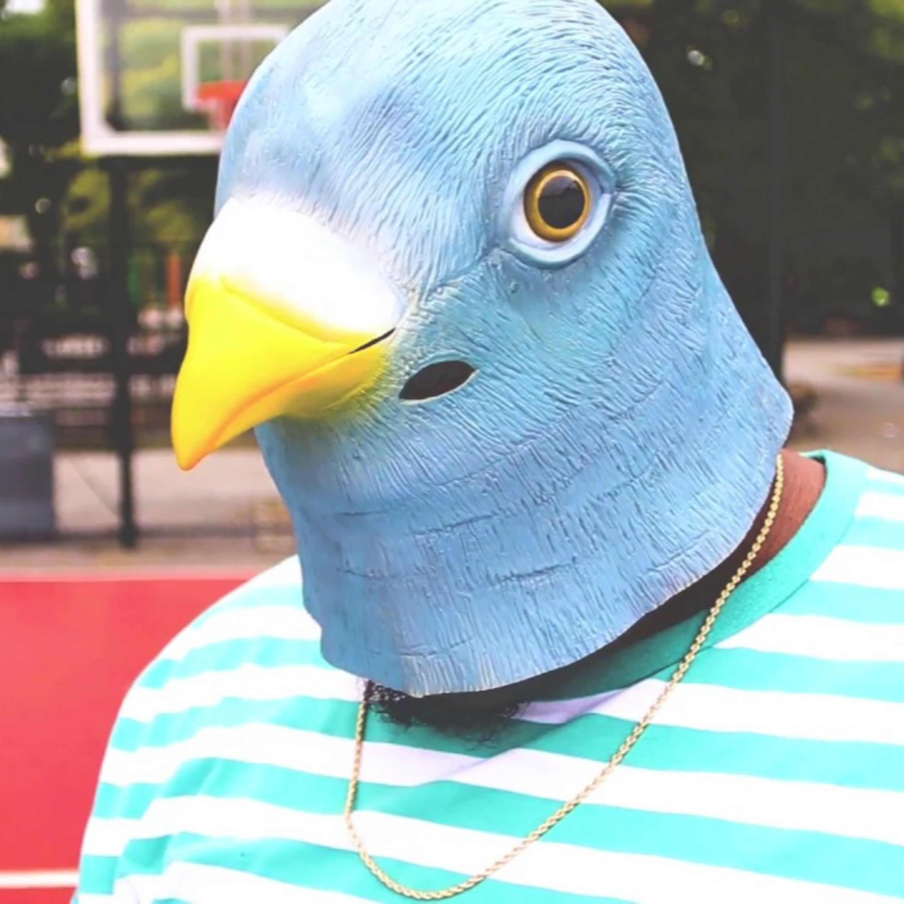 Nelly Furtado's I'M LIKE A BIRD except not a penguin or emu, just the ones that can fly but I won't crap on your car or anything, that's not what this is about episode artwork