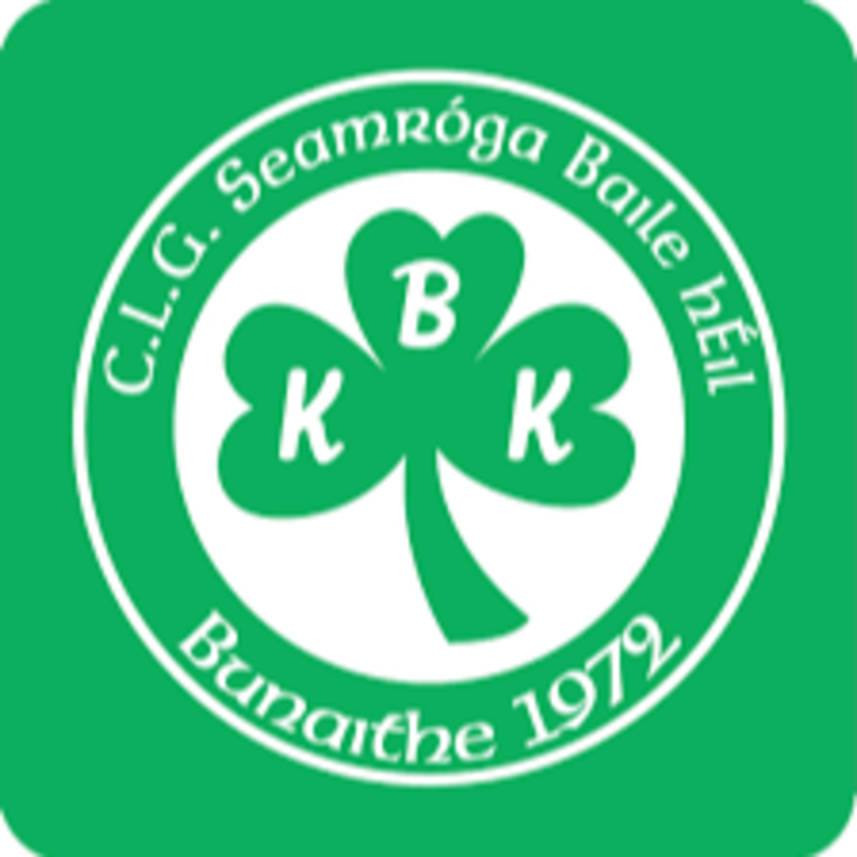 Henry Shefflin Shamrocks Ballyhale chats to CRKC (Post v Dicksboro) 12.10.2025