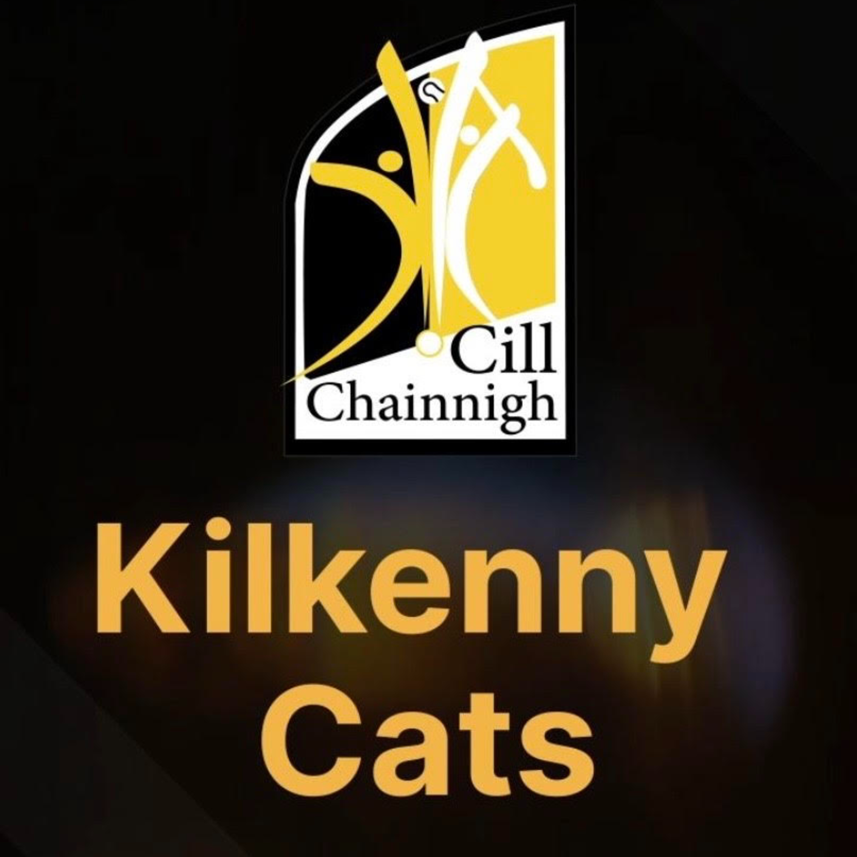 Niall Meaney chats to CRKC about enhancements to the Kilkenny Cats App 08.07.2026 episode artwork