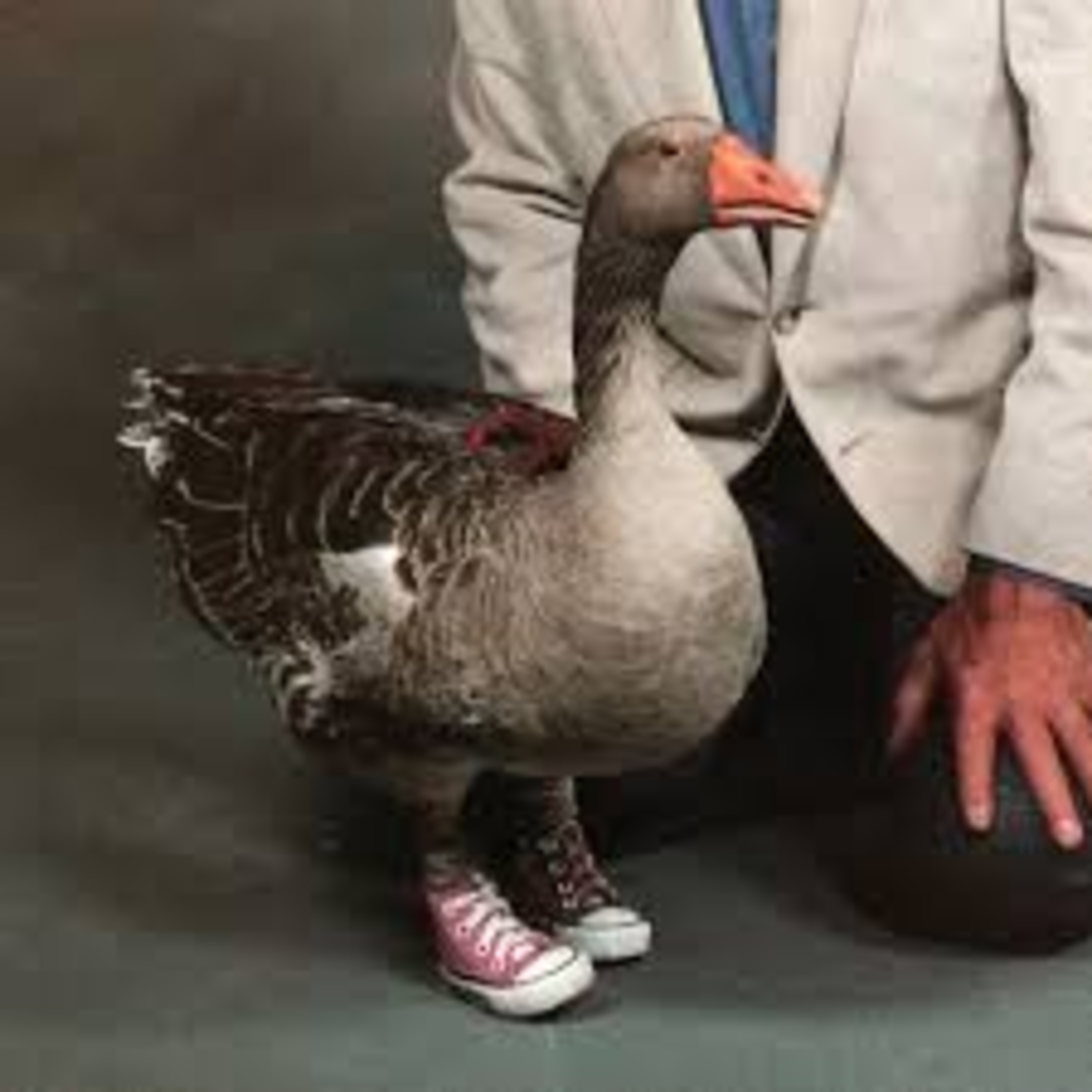 Deep Lore Boys Podcast