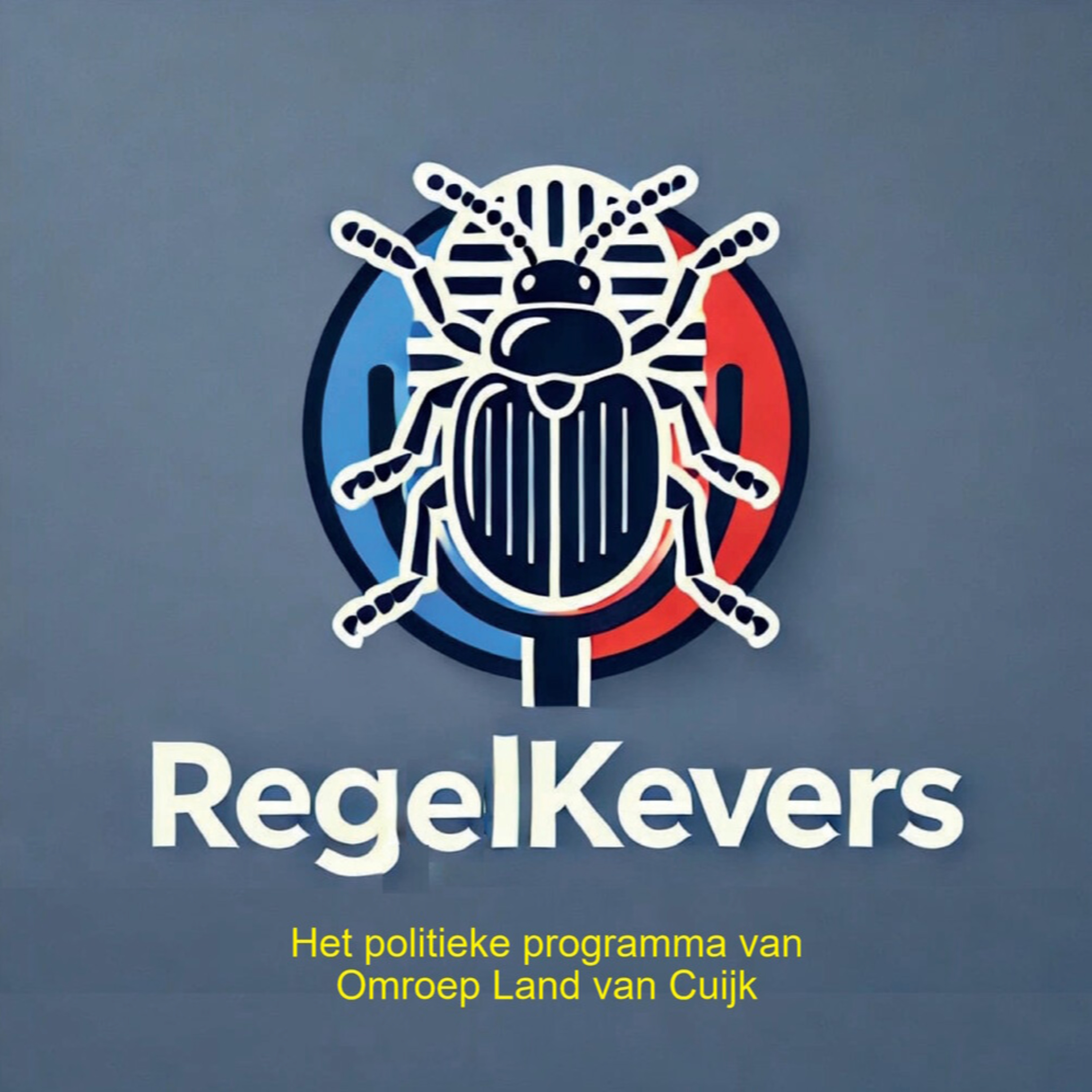 Politiek in Land van Cuijk: van AZC naar evenementen  episode artwork