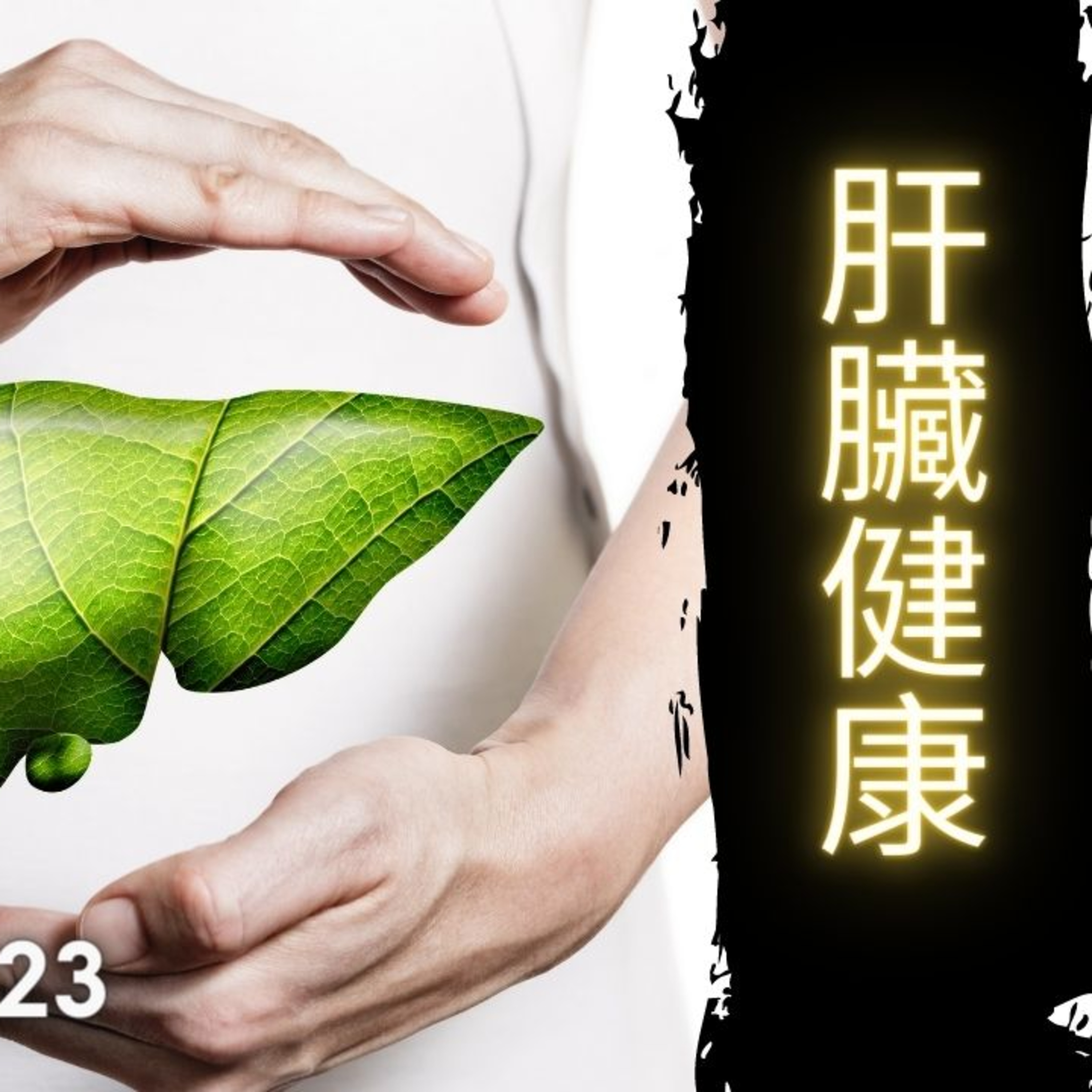 《醫學新世代》 肝臟健康 - 4.30.2023