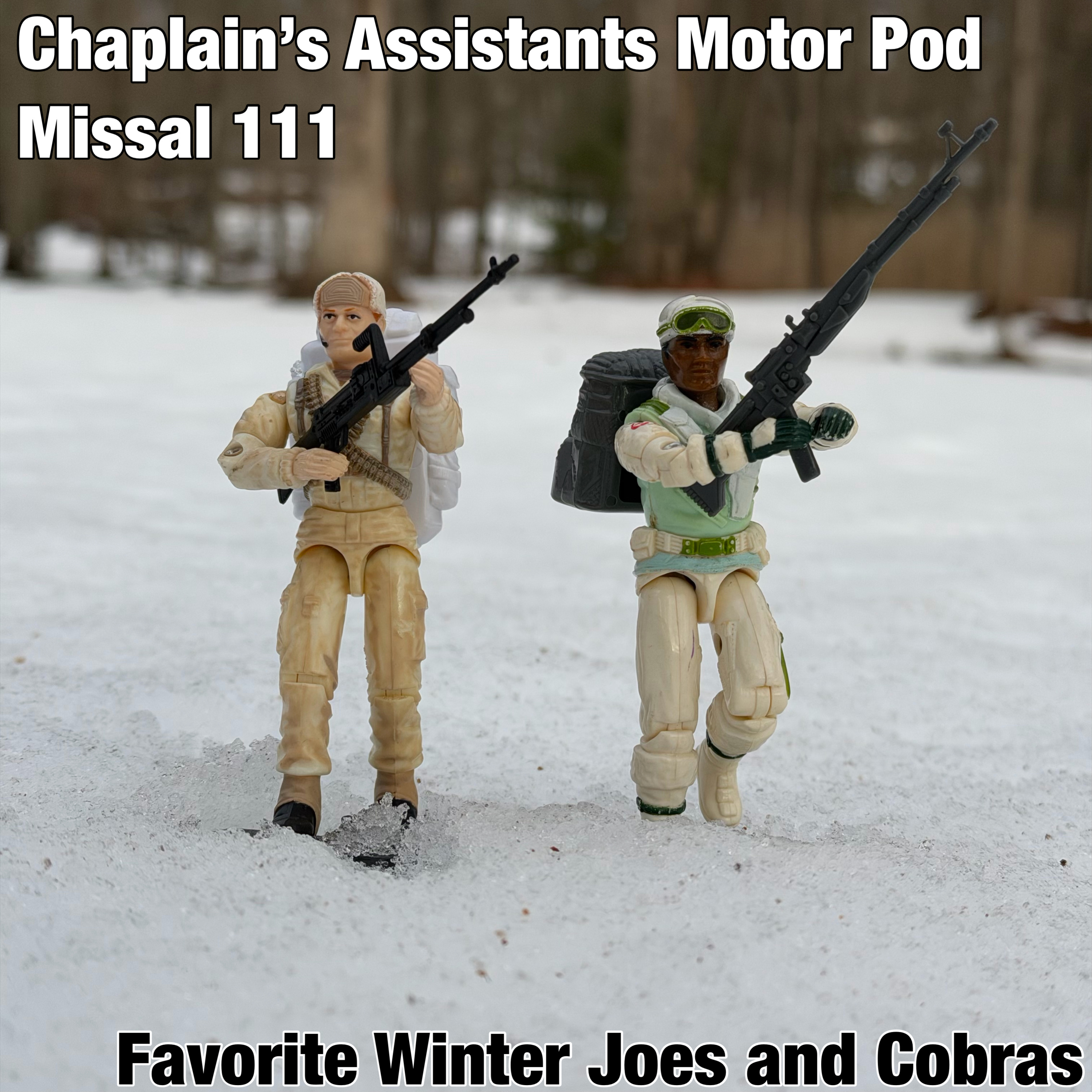 Favorite Winter G.I. Joes and Cobras