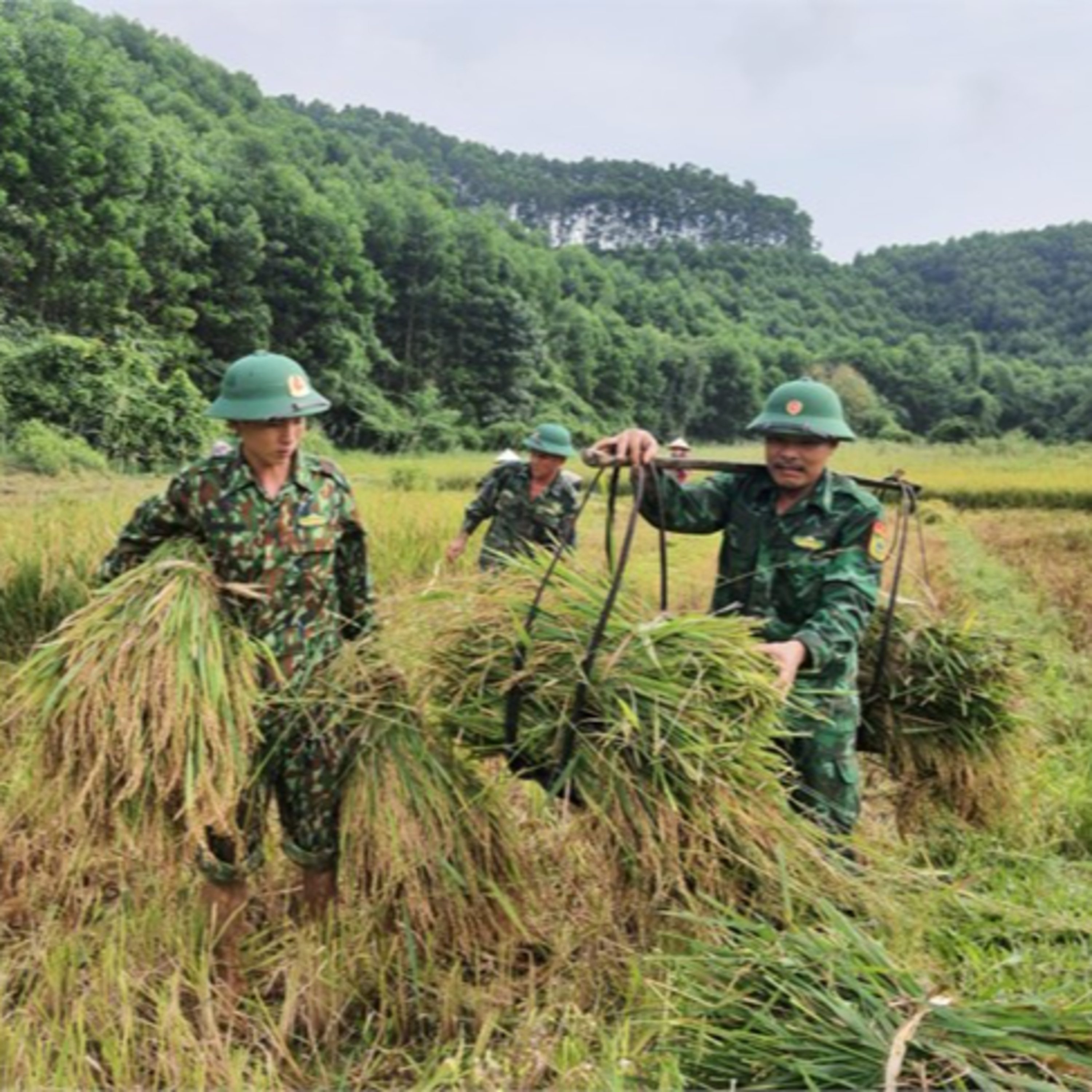 Tiêu điểm - Bộ đội biên phòng chung tay xây đắp thế vững vùng biên episode artwork
