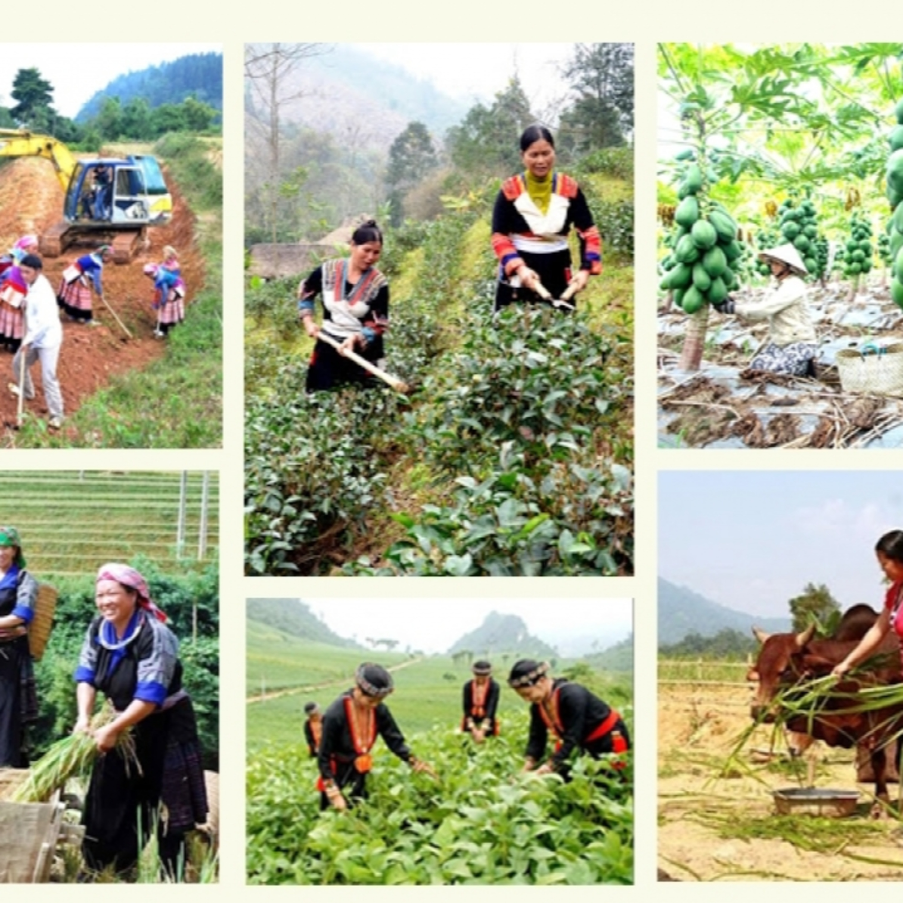 Xã hội chuyển động - Ứng dụng khoa học, công nghệ, góp phần thực hiện thành công mục tiêu giảm nghèo bền vững