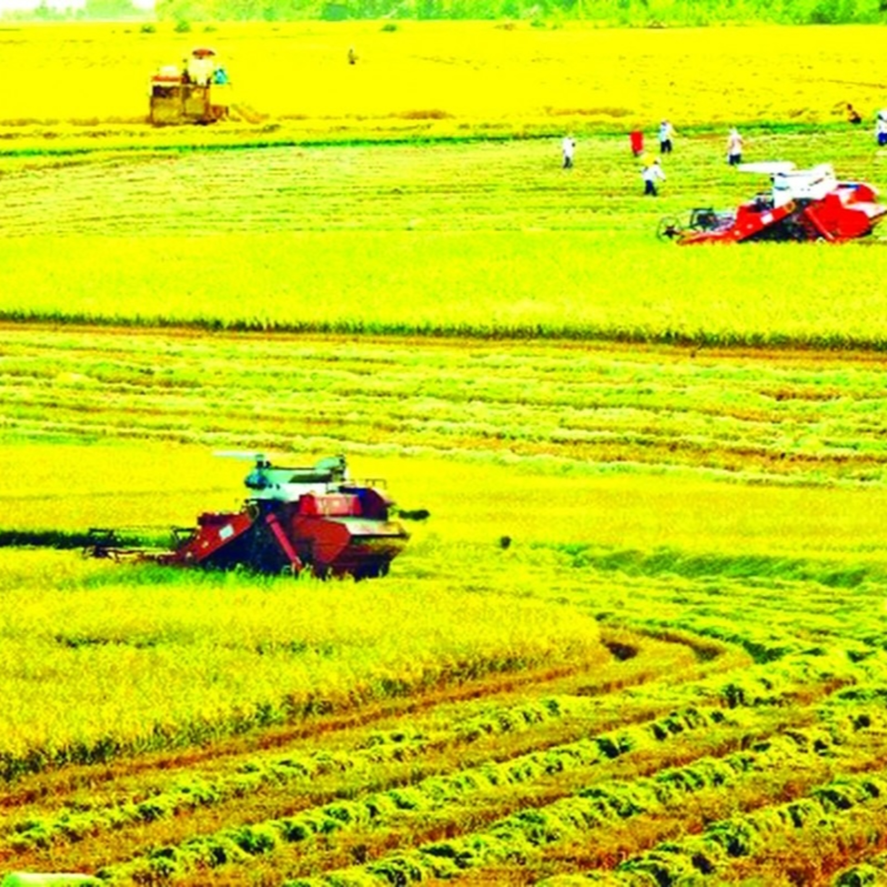 Việt Nam - Kỷ nguyên vươn mình - Nông dân mới trong kỷ nguyên mới