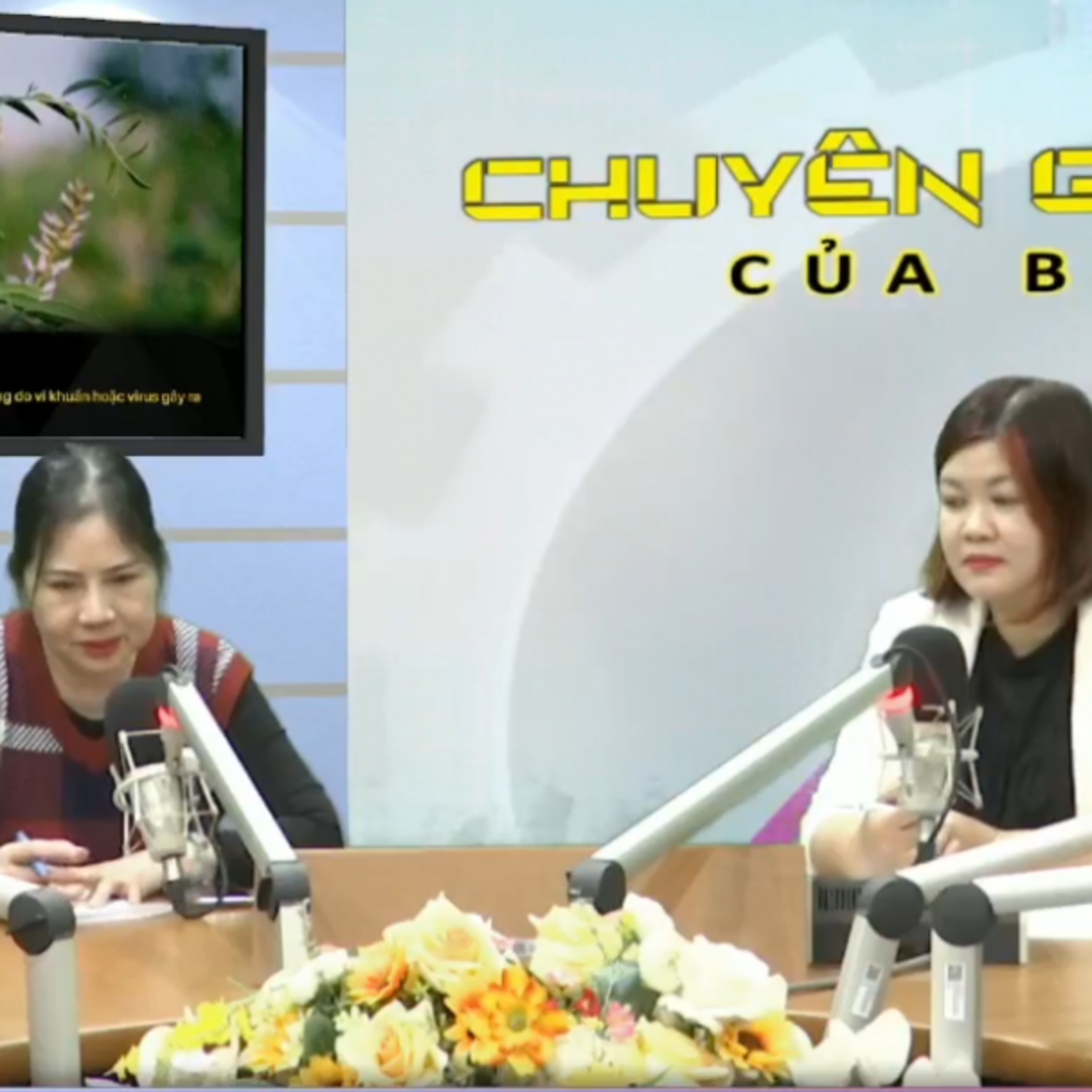 Chuyên gia của bạn - Tư vấn cách bảo vệ đường hô hấp an toàn trong thời điểm giao mùa Chuyên gia của bạn - Tư vấn cách bảo vệ đường hô hấp an toàn trong thời điểm giao mùa