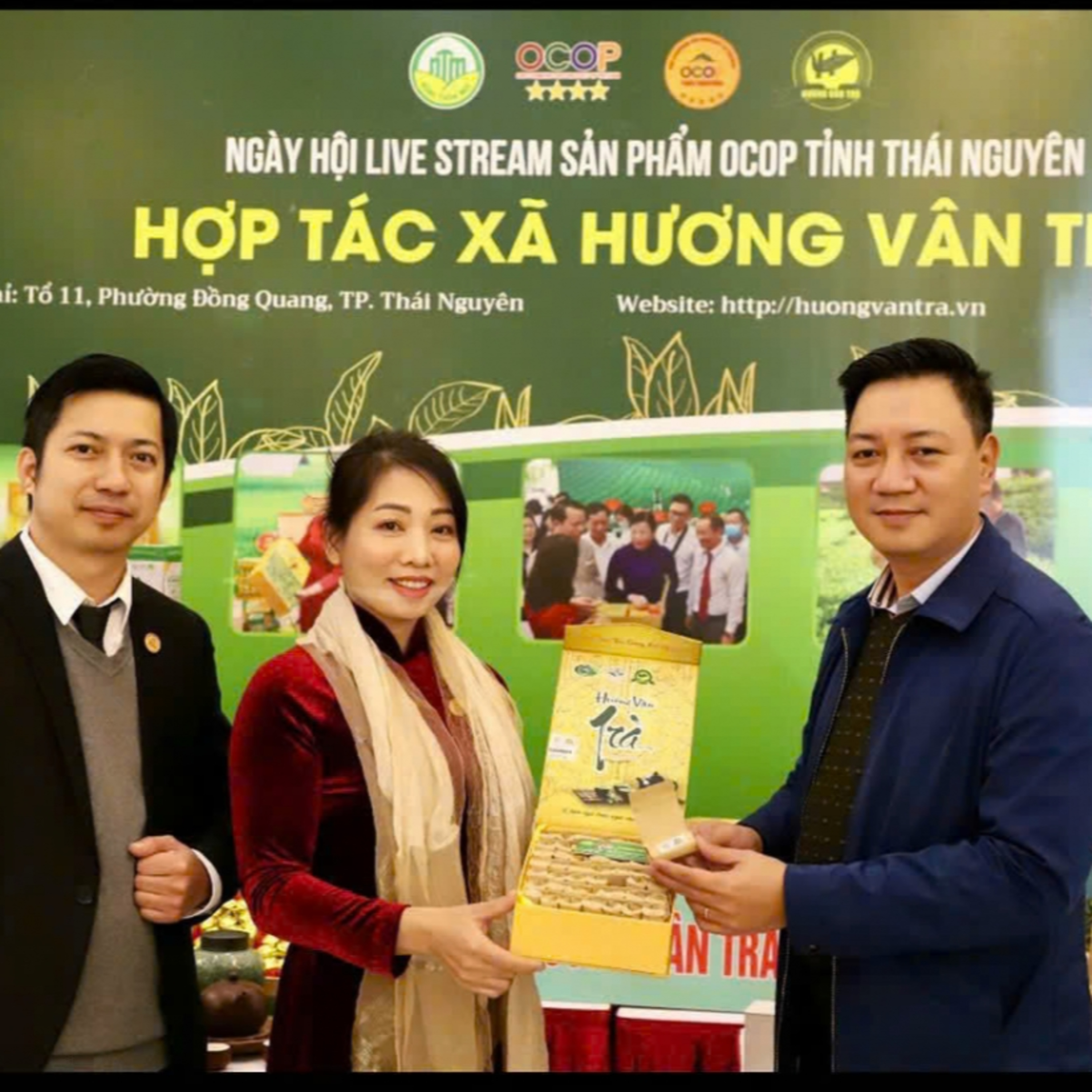 Chuyên gia của bạn - Hợp tác xã Hương Vân Trà: Xây dựng thương hiệu từ những đồi chè xanh Chuyên gia của bạn - Hợp tác xã Hương Vân Trà: Xây dựng thương hiệu từ những đồi chè xanh