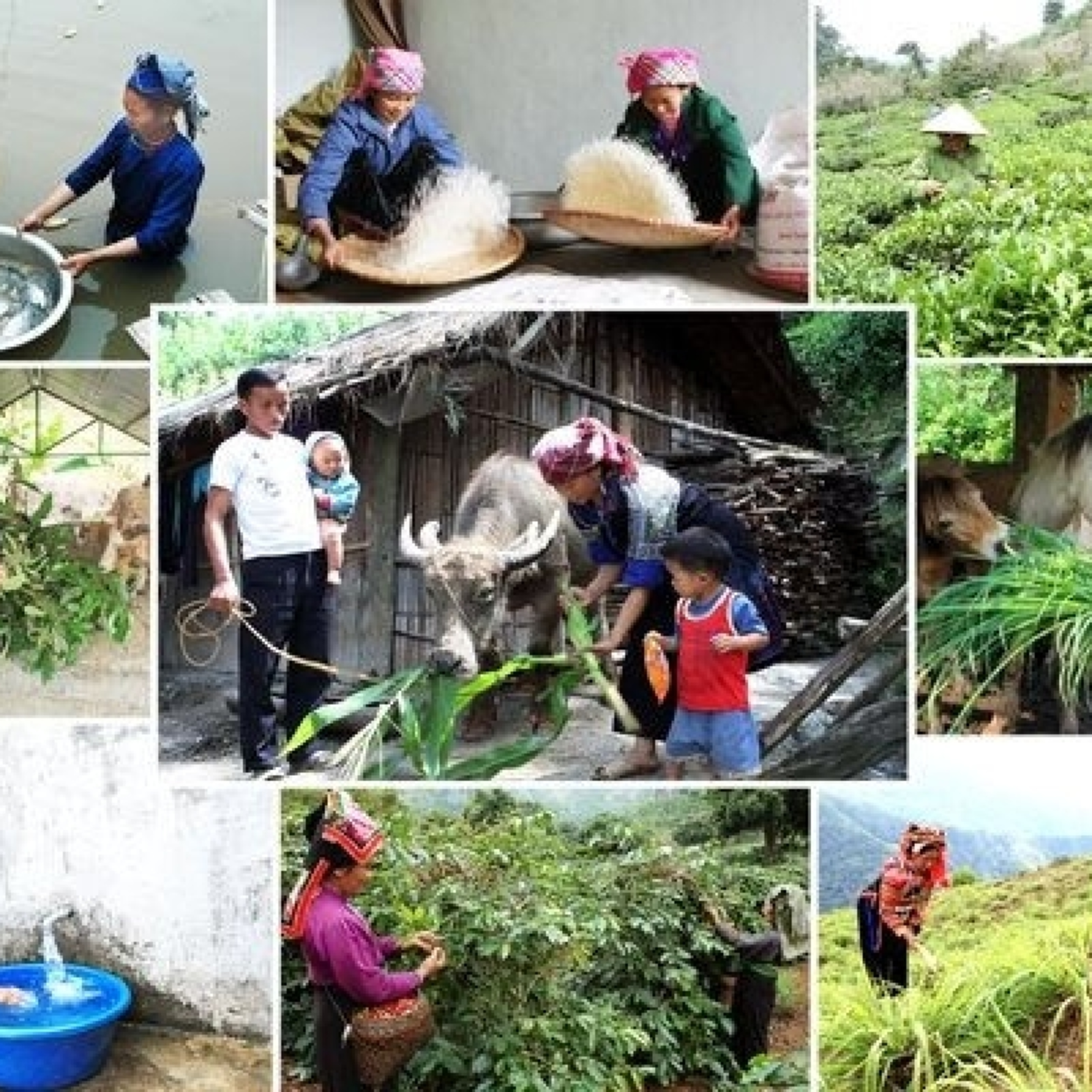 Tiêu điểm - Bền vững từ chiến lược – Nâng cao năng lực quốc gia