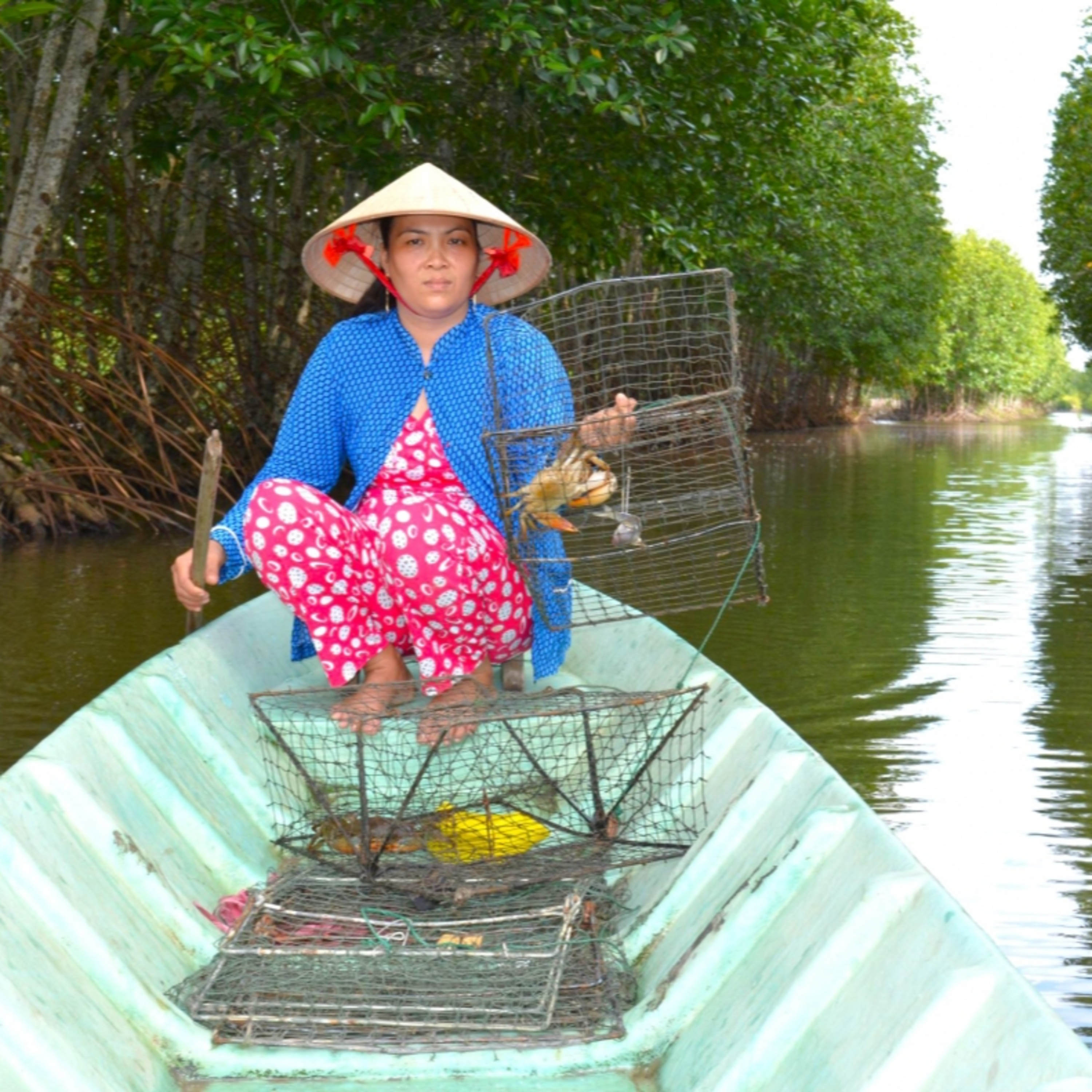Tiêu điểm - Ngày hội cua Cà Mau: Người dân mong "giá bền", HTX muốn "xuất ngoại"