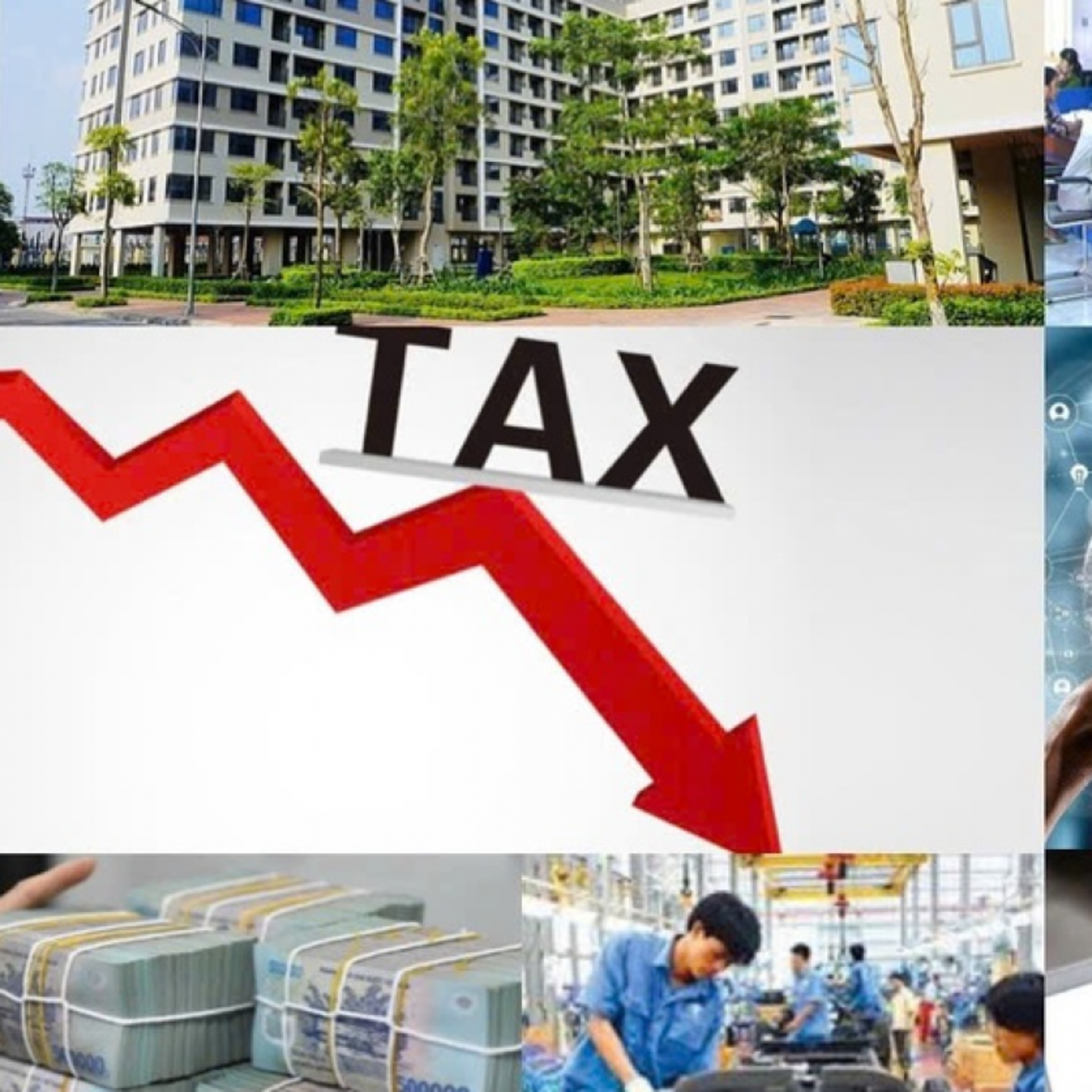 Câu chuyện thời sự - Quyết tâm cắt giảm hơn 2.000 thủ tục hành chính tạo môi trường minh bạch trong kinh doanh