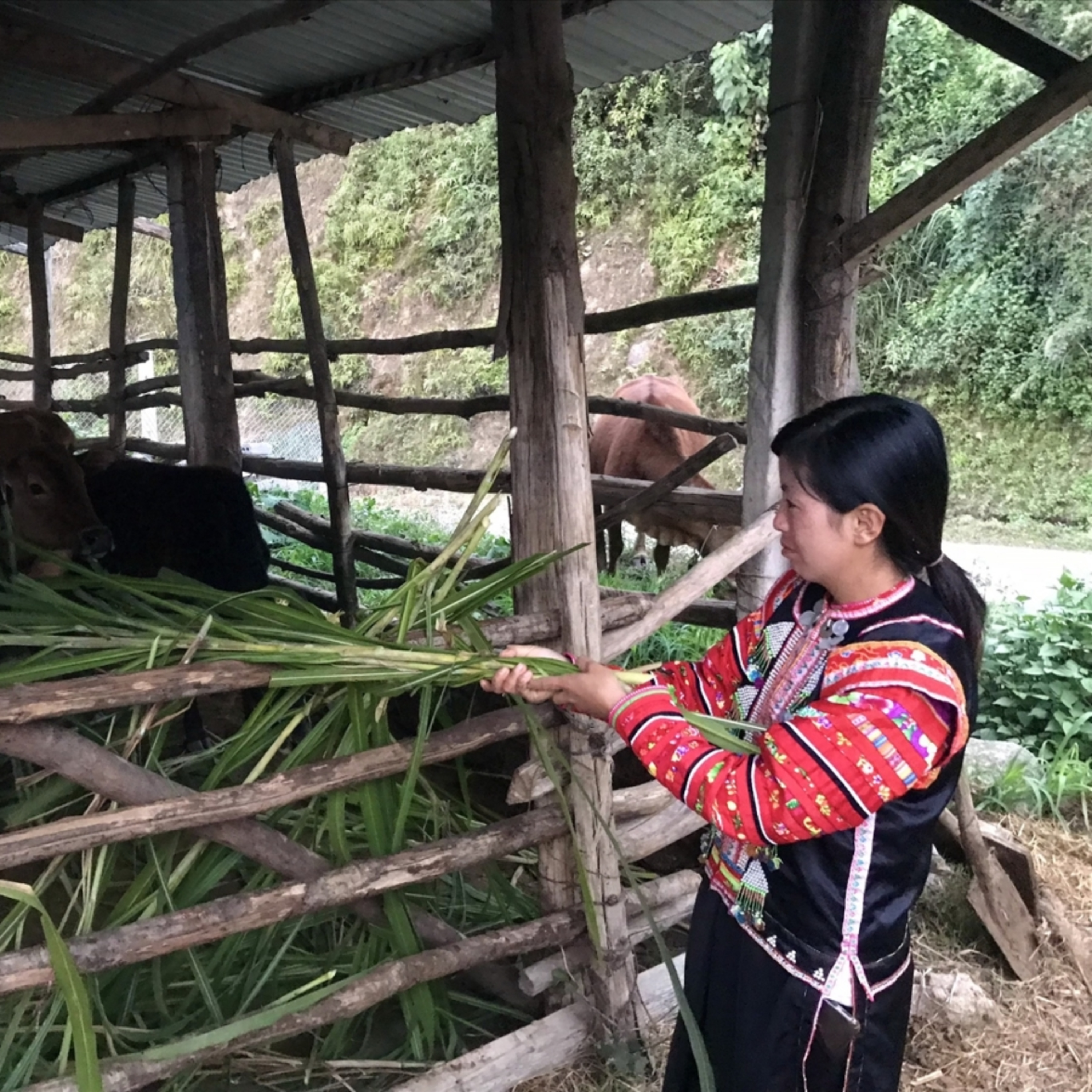 Xã hội chuyển động - Lồng ghép hiệu quả các chính sách giúp nhiều vùng sâu, vùng xa vươn lên thoát nghèo