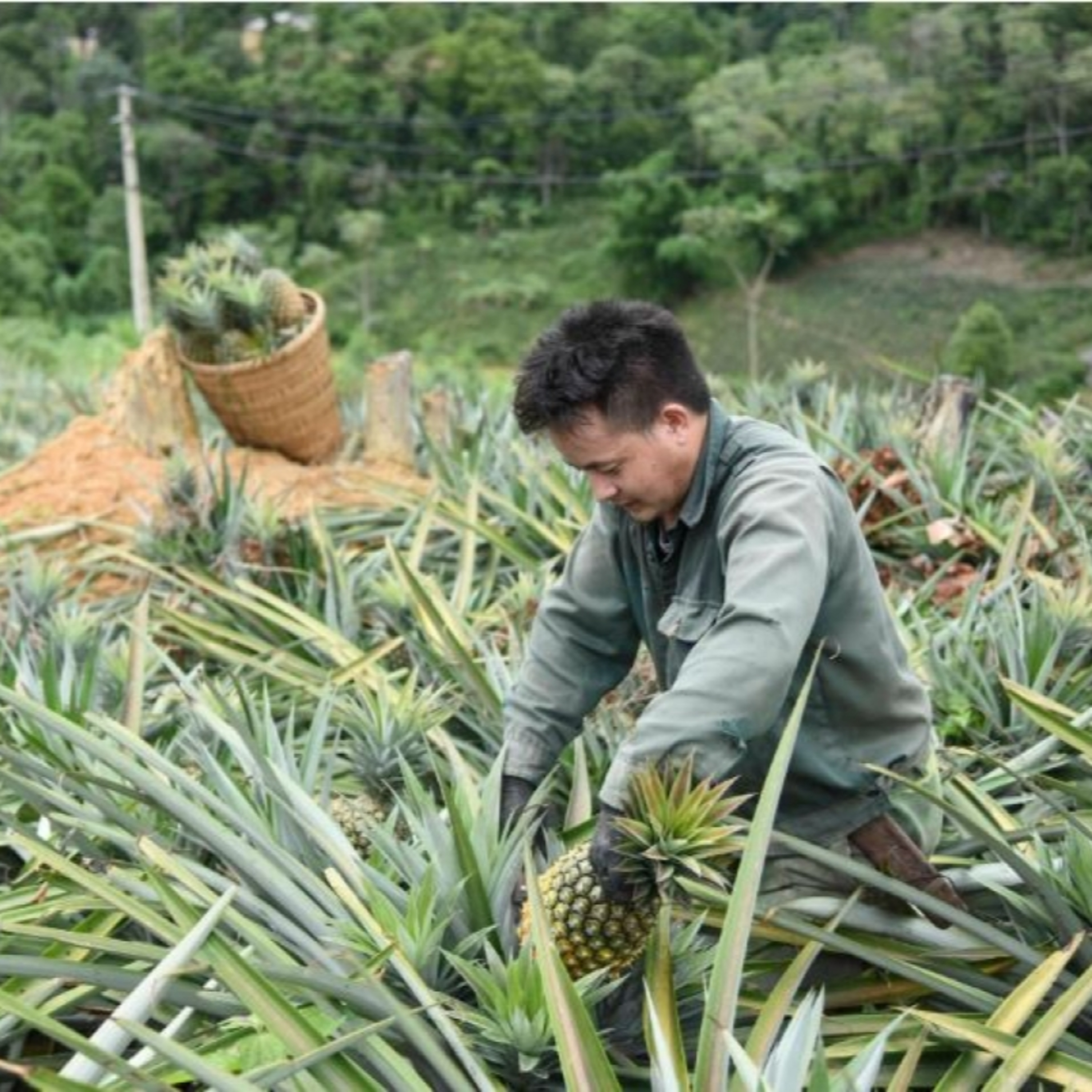 Xã hội chuyển động - Giảm nghèo đa chiều – Đổi thay từ gốc