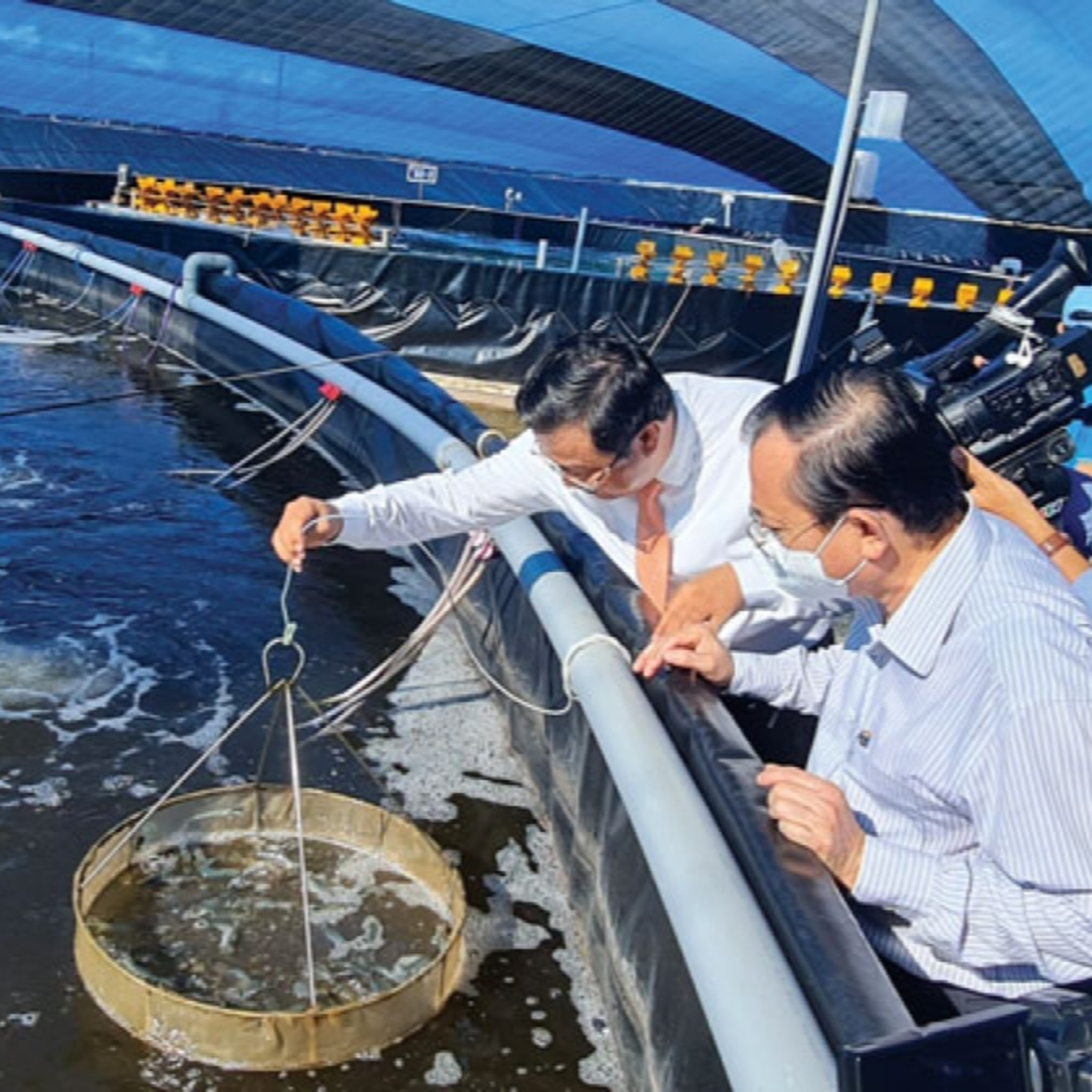 Chuyên gia của bạn - Phòng chống dịch bệnh thủy sản sau bão, lũ