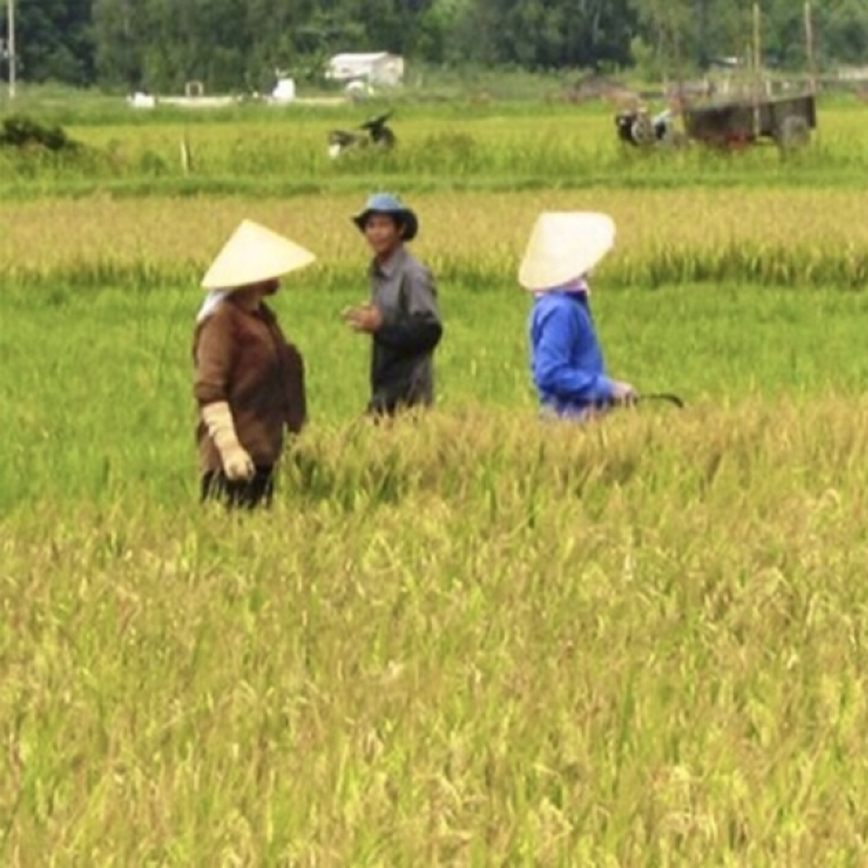 Tiêu điểm - Giải pháp gỡ khó về nguồn vốn cho hợp tác xã