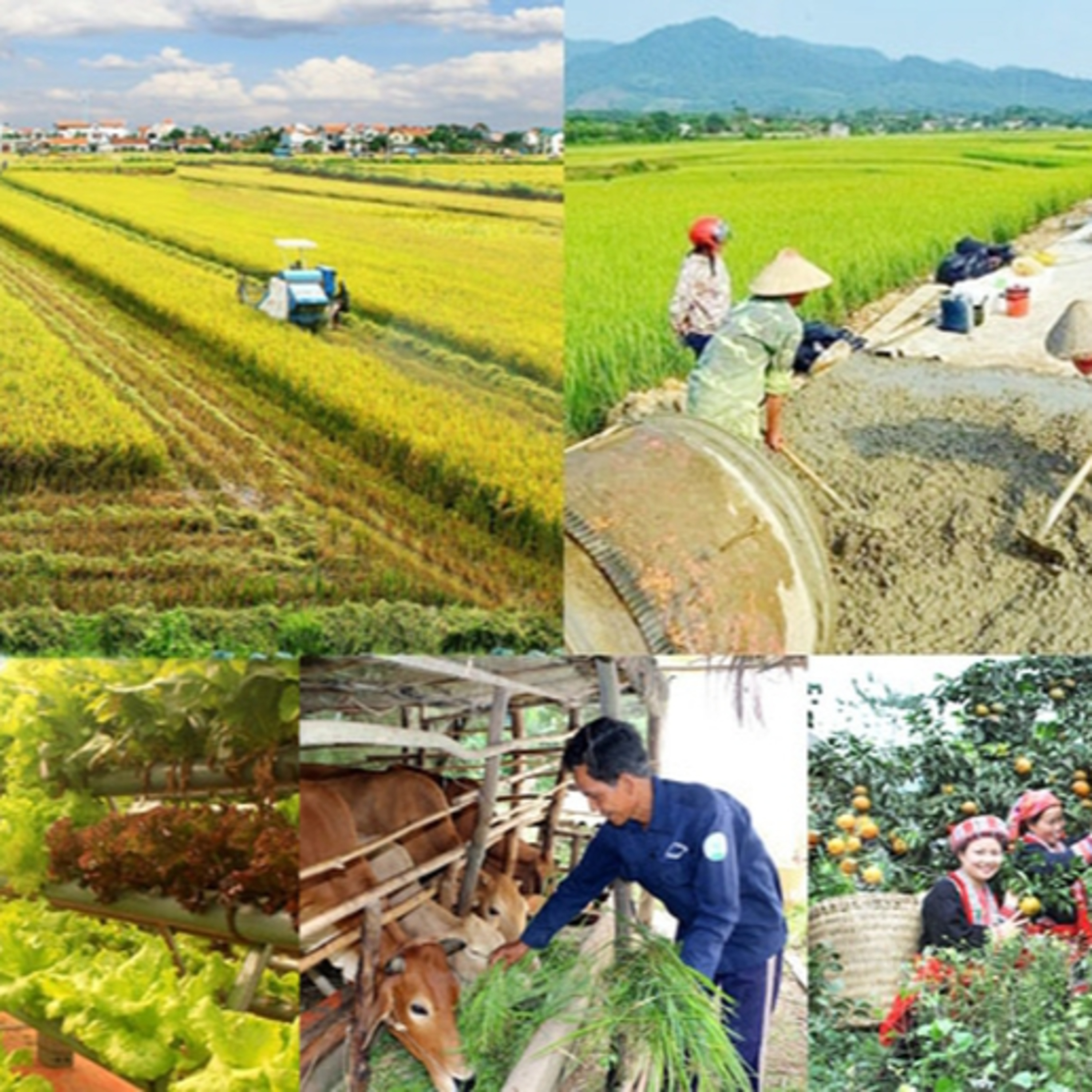 Xã hội chuyển động - Cần thêm nhiều chính sách đồng bộ để thực hiện mục tiêu giảm nghèo nhanh và bền vững Xã hội chuyển động - Cần thêm nhiều chính sách đồng bộ để thực hiện mục tiêu giảm nghèo nhanh và bền vững