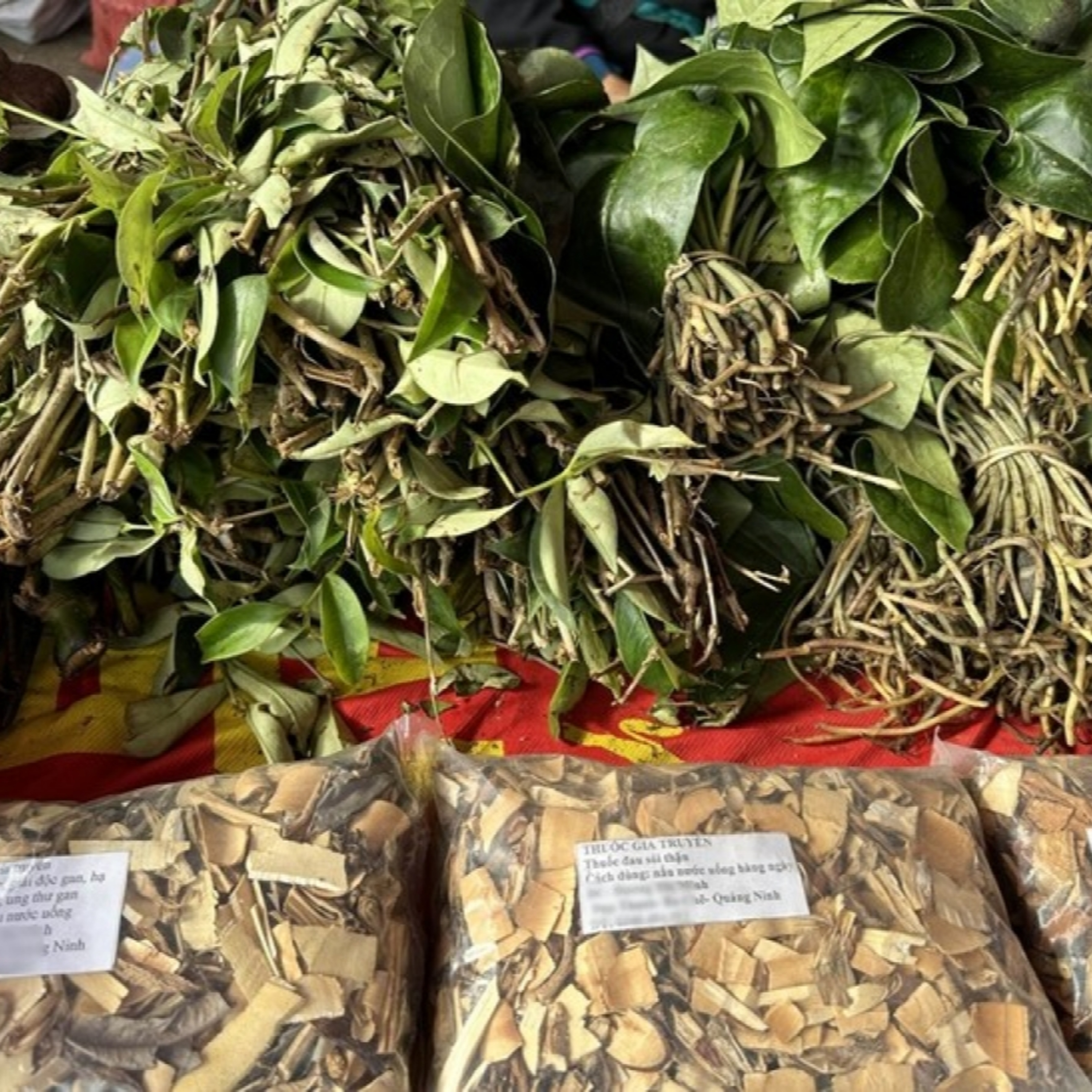 Xã hội chuyển động - Dược liệu quý - Di sản văn hóa và kinh tế tương lai của dân tộc