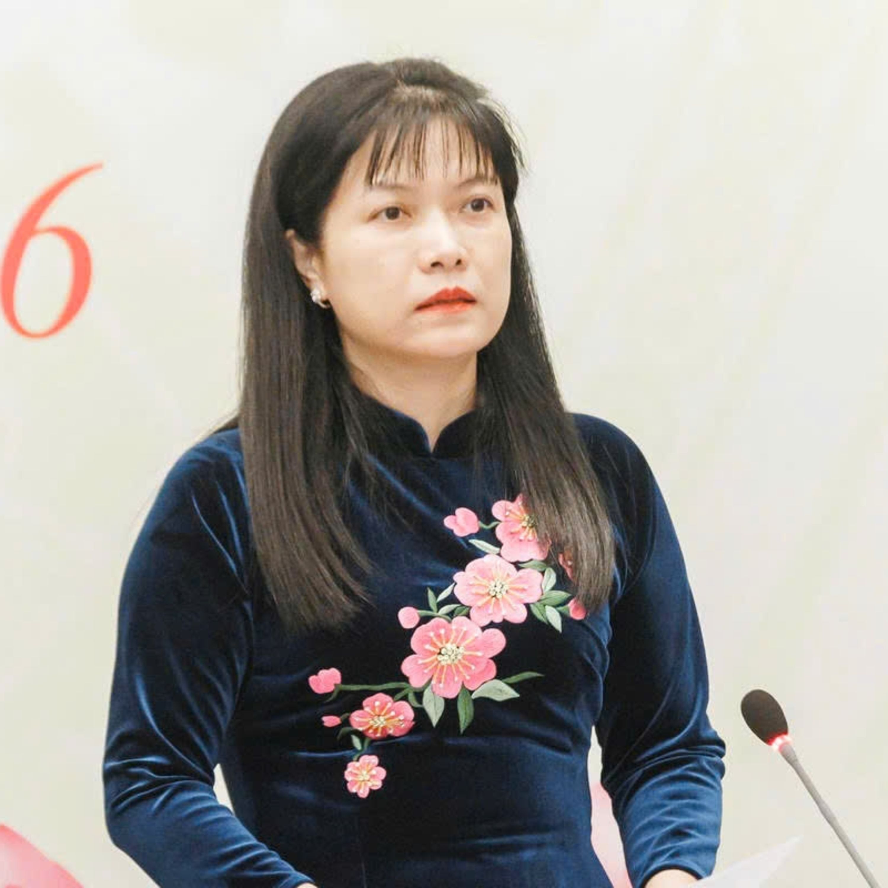 Câu chuyện thời sự - Tăng đại biểu dân cử chuyên trách để Quốc hội, Hội đồng nhân dân hoạt động chuyên nghiệp hơn