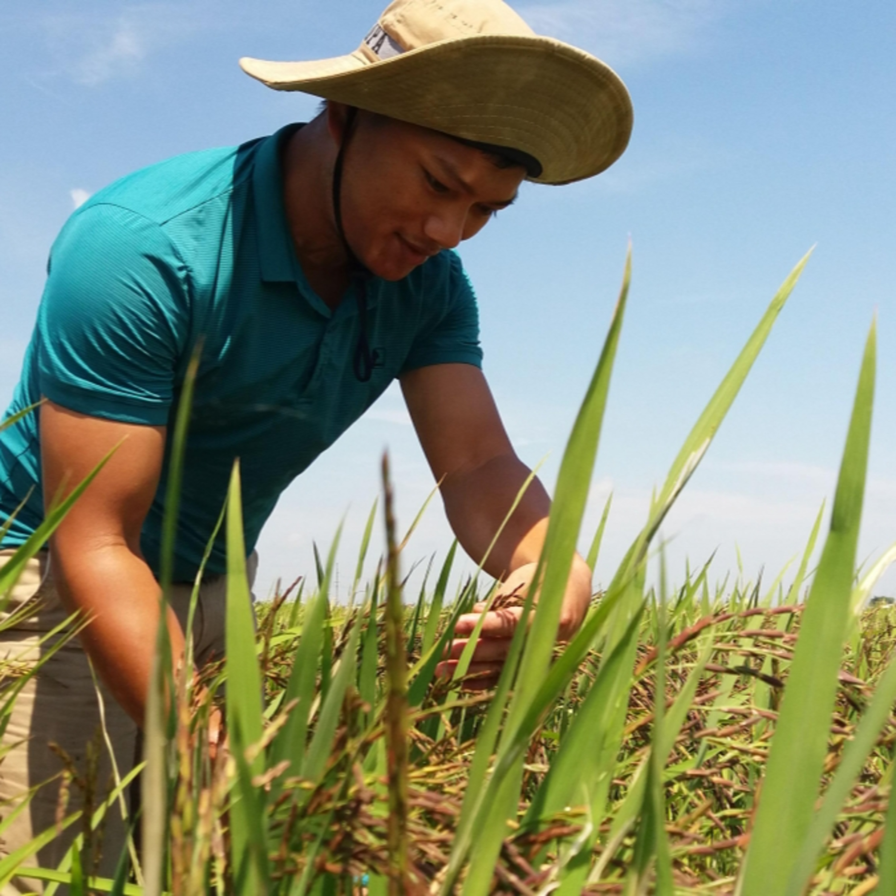 Chuyện đêm - Chàng kỹ sư “đánh thức" hạt giống ngủ đông