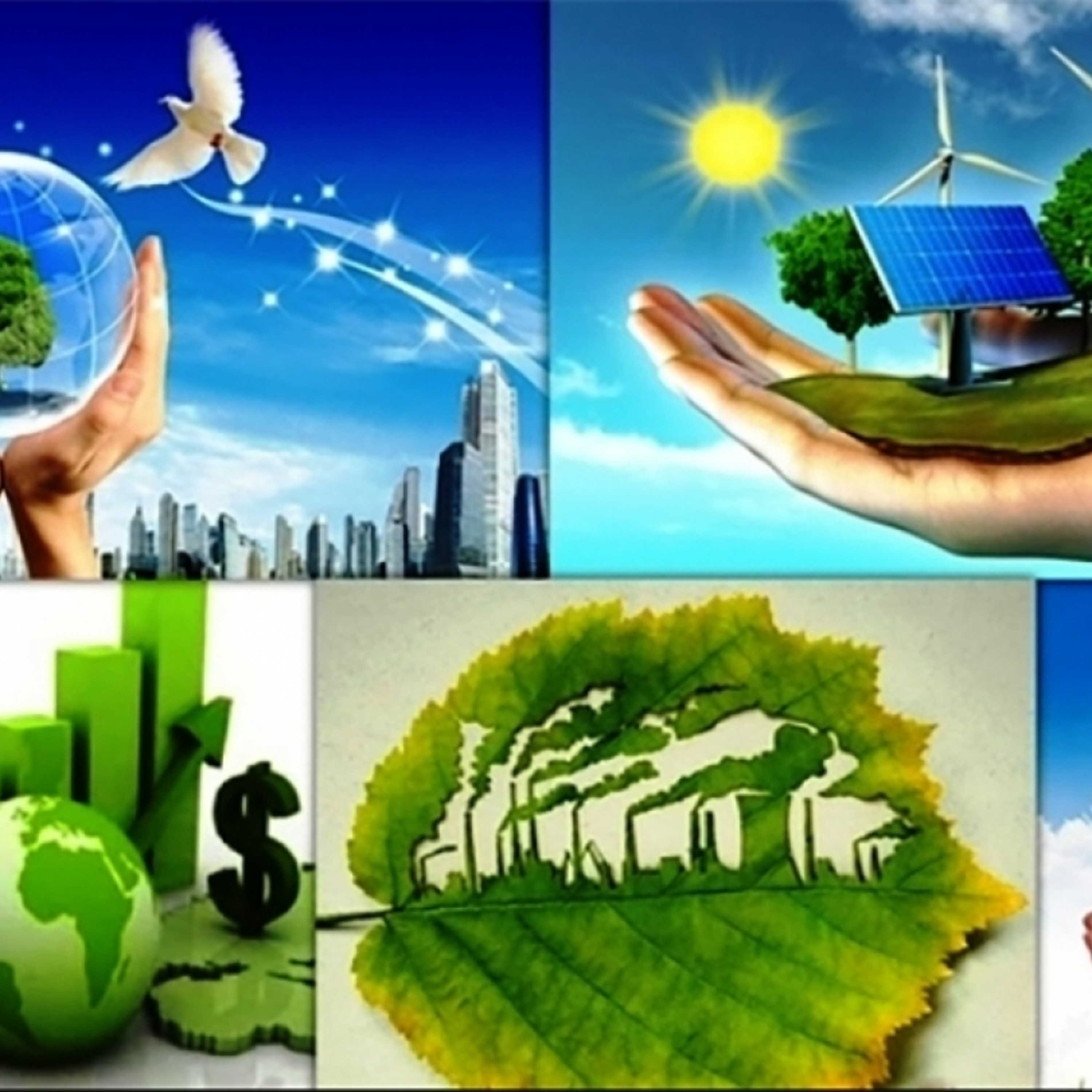 Câu chuyện thời sự - Chuyển đổi xanh, số hoá hiện đại: Doanh nghiệp vào guồng với Nghị quyết Đại hội XIV của Đảng