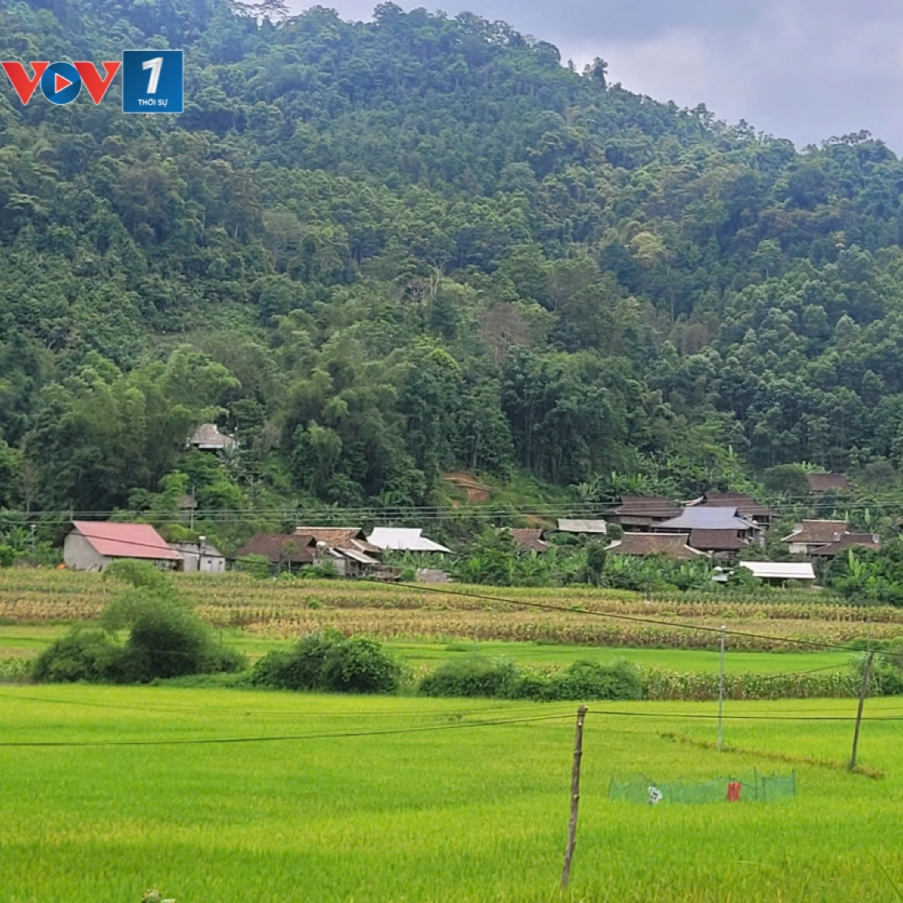Tiêu điểm - Thái Nguyên: Những thôn mới bắt đầu một nhịp sống mới episode artwork