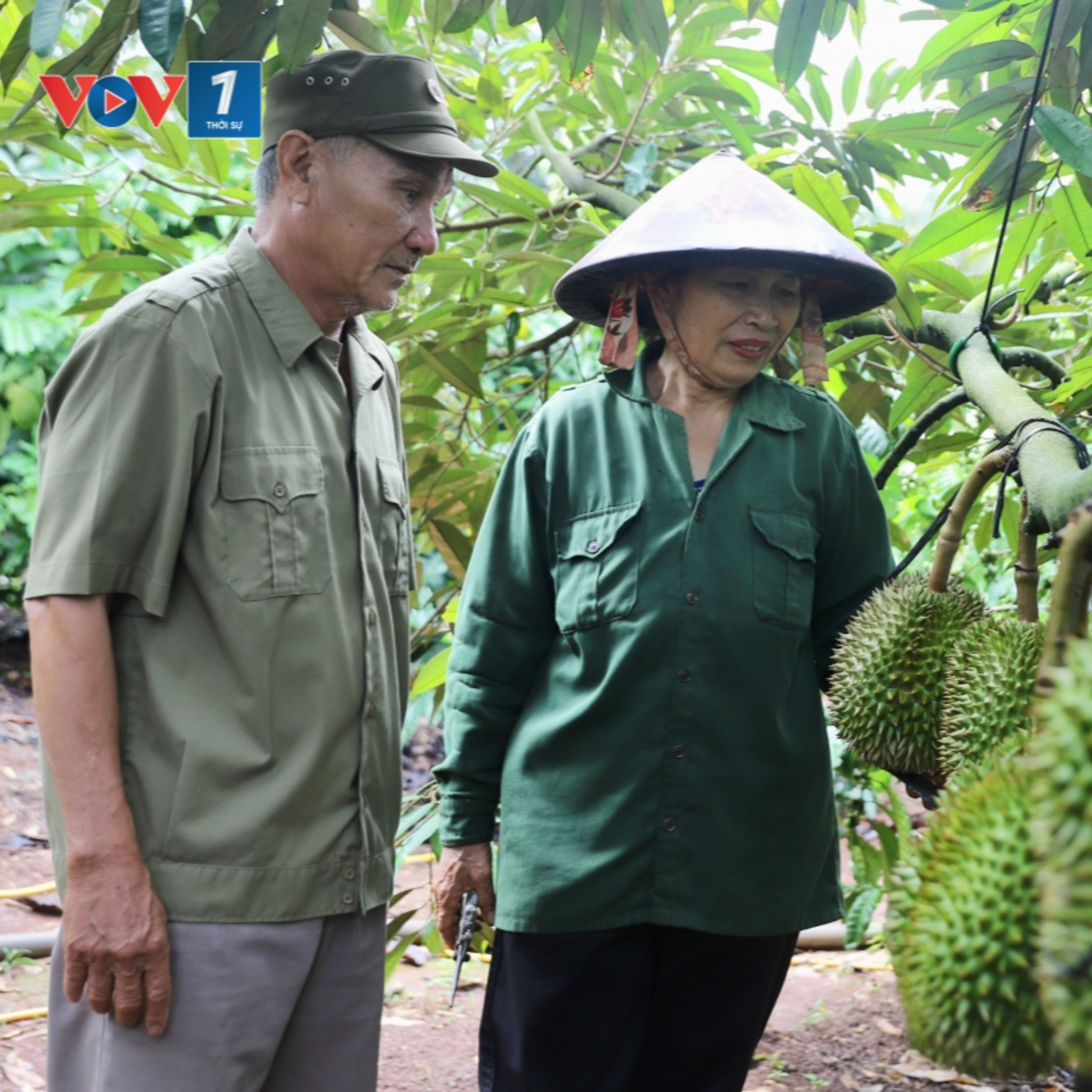 Tiêu điểm - Từ chiến trường đến nương rẫy, vẫn trọn phẩm chất Bộ đội Cụ Hồ episode artwork