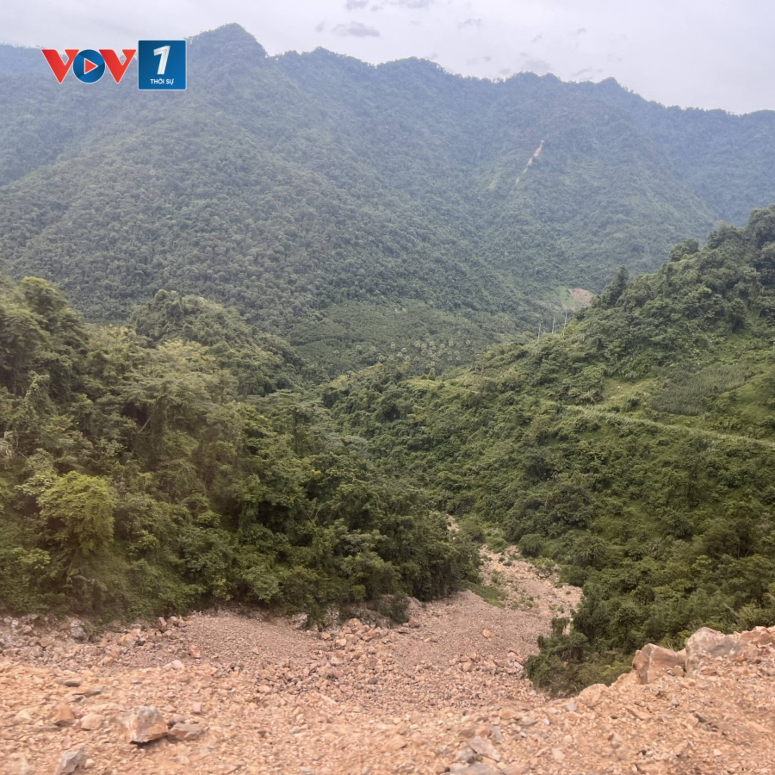 Tiêu điểm - Xã Quy Đức, tỉnh Phú Thọ: Giảm nghèo từ những mô hình sinh kế bền vững episode artwork