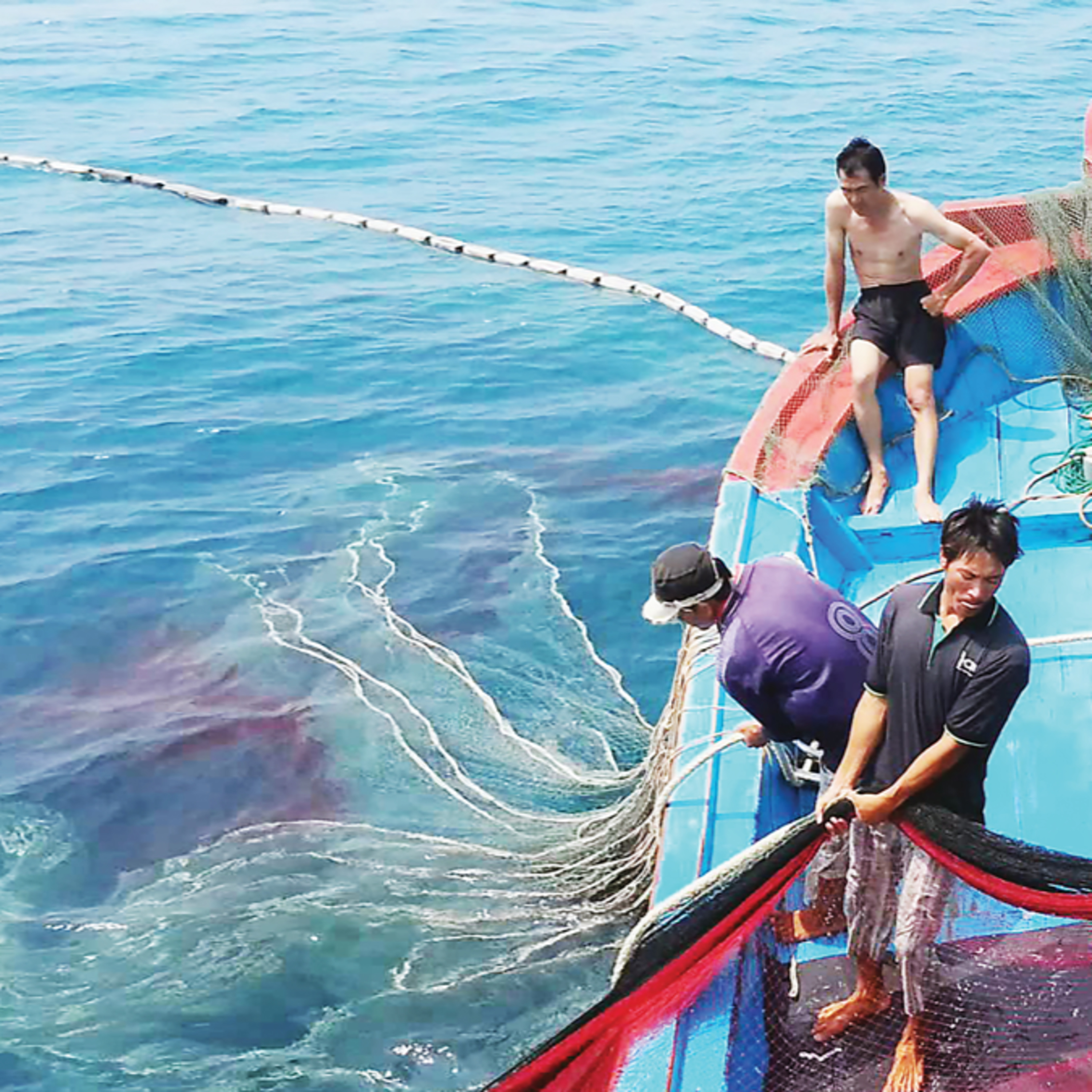 Câu chuyện thời sự - Nước rút gỡ “thẻ vàng” IUU, hướng tới nghề cá minh bạch, bền vững