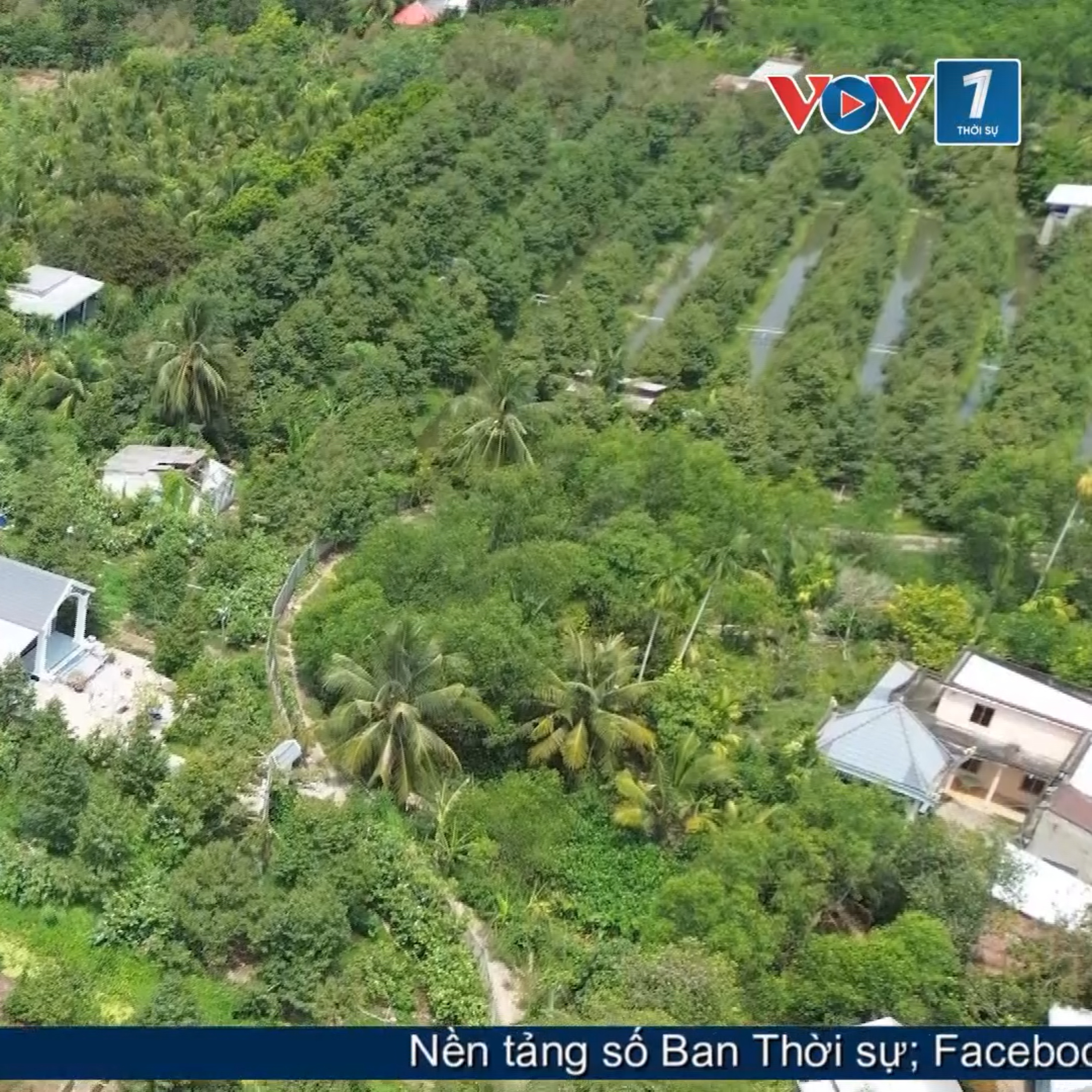 Tiêu điểm - Thanh Hưng (Đồng Tháp) phát huy lợi thế vùng cây ăn trái sau sáp nhập
