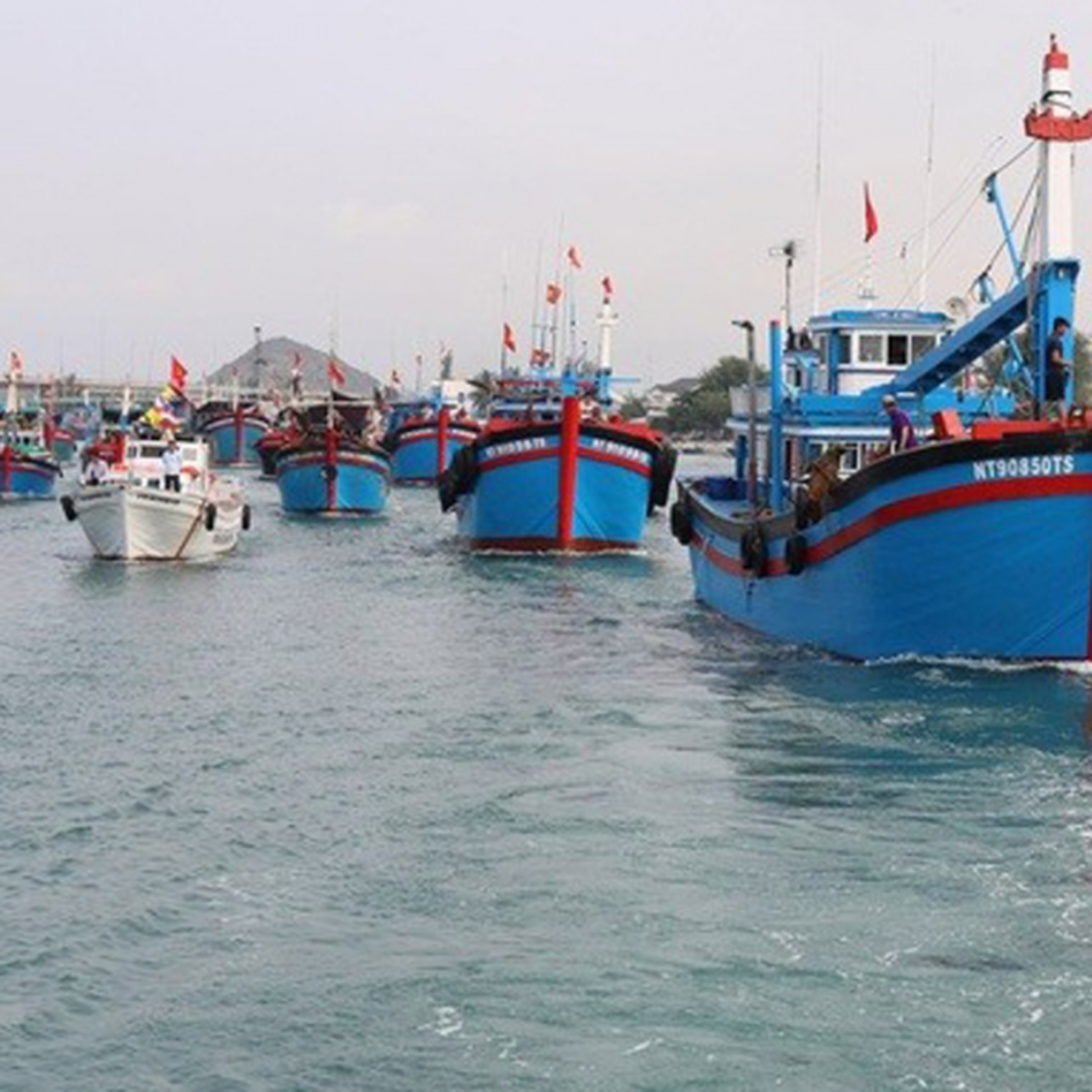 Câu chuyện thời sự - Gỡ “thẻ vàng” IUU, hướng tới nghề cá minh bạch, bền vững