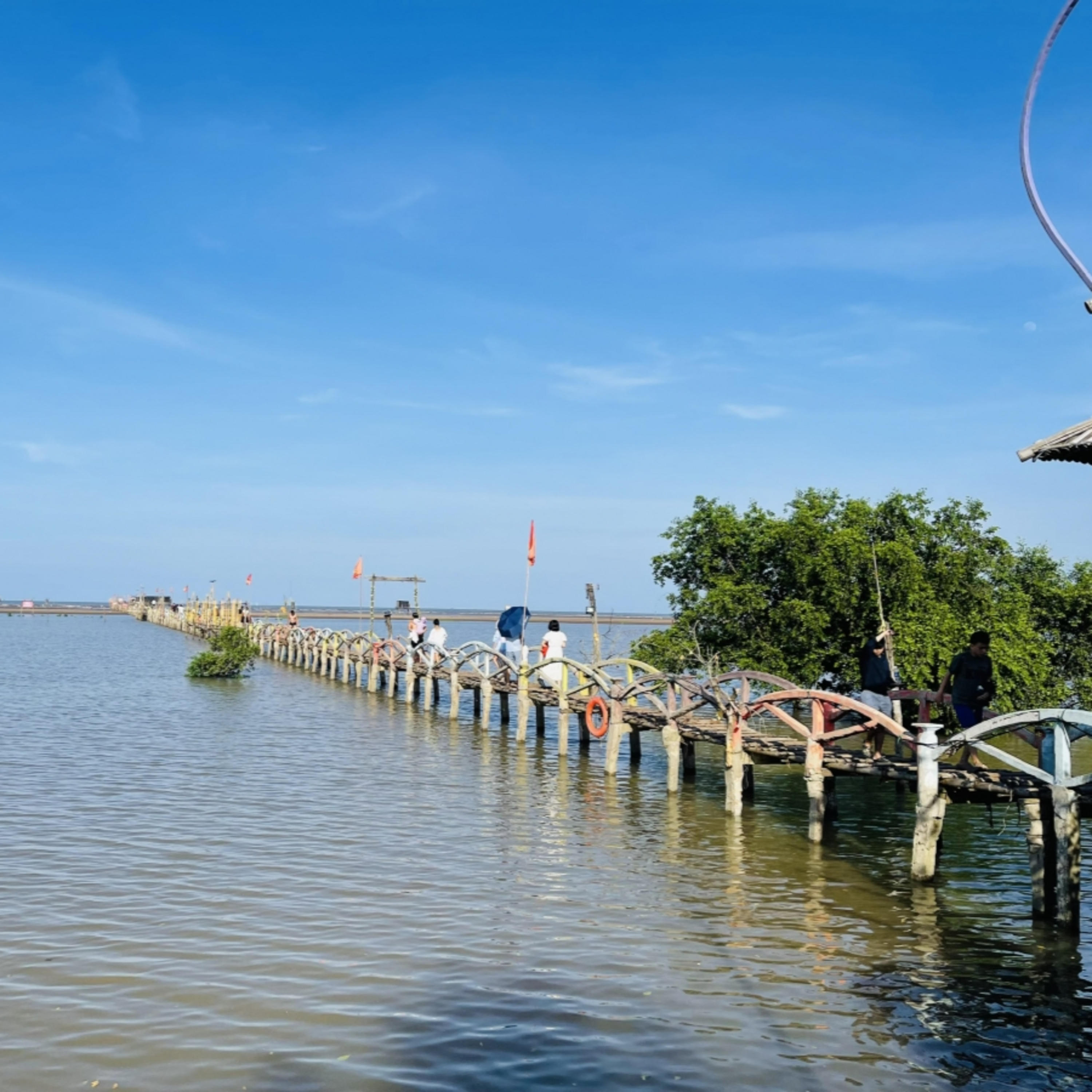 Chân dung cuộc sống - Cựu chiến binh Vũ Trung Kiên- 25 năm gây dựng “lá phổi xanh” trên Cồn Đen