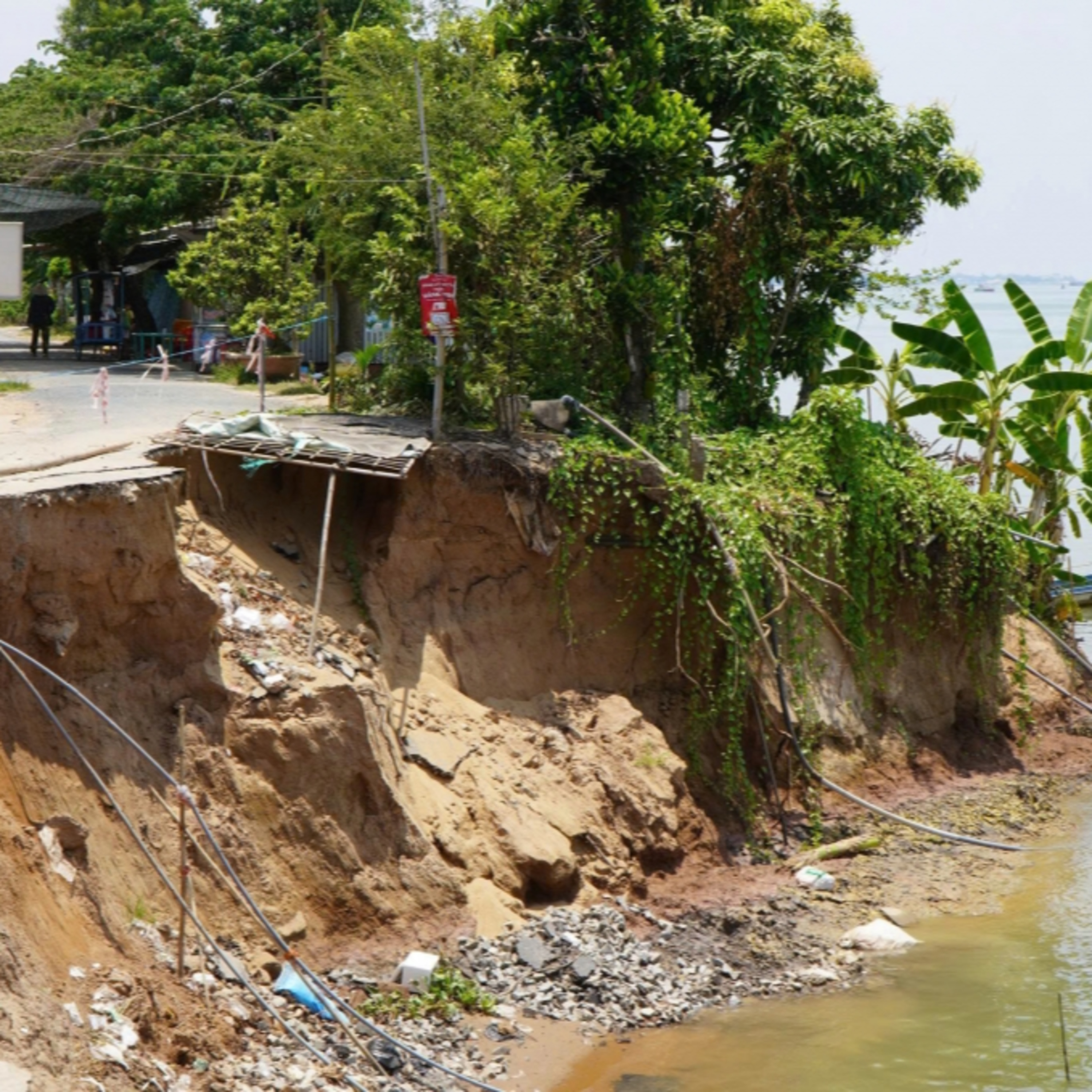 Tiêu điểm - Đồng Tháp khẩn trương ứng phó sạt lở