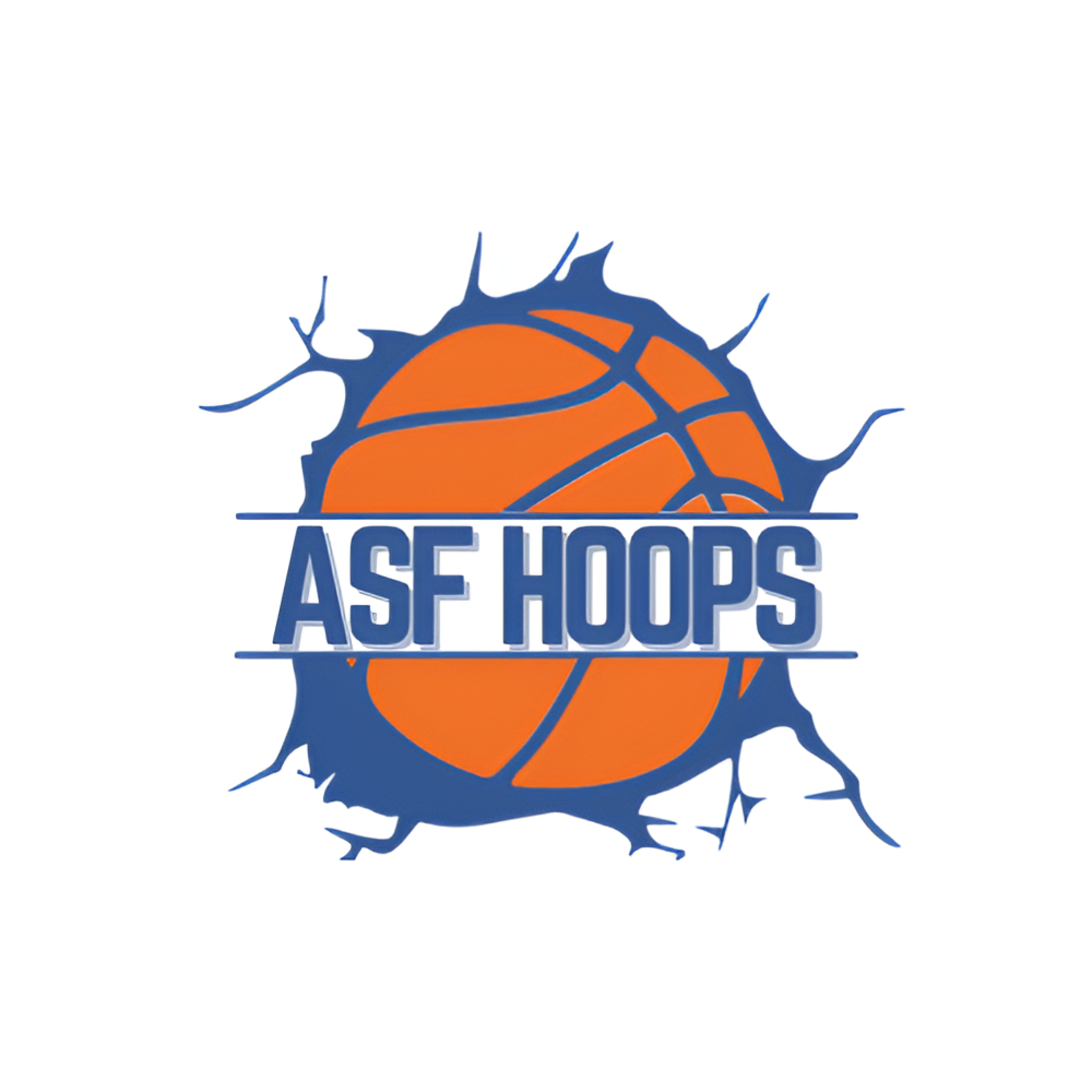 All Sports Focus Network