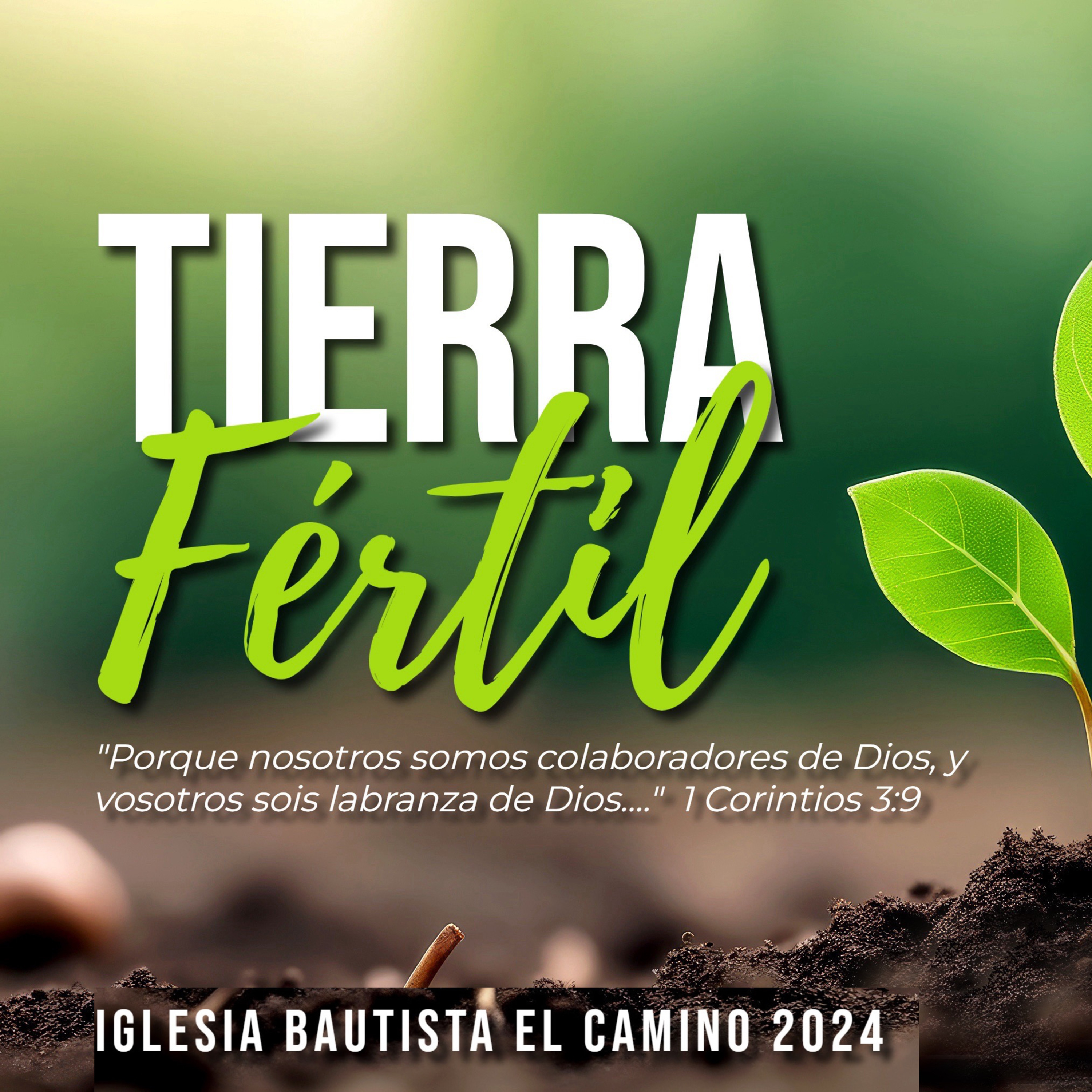 En Tierra Del Corazón | Marcos 4:1-9 | Domingo 18 de 2024 episode artwork
