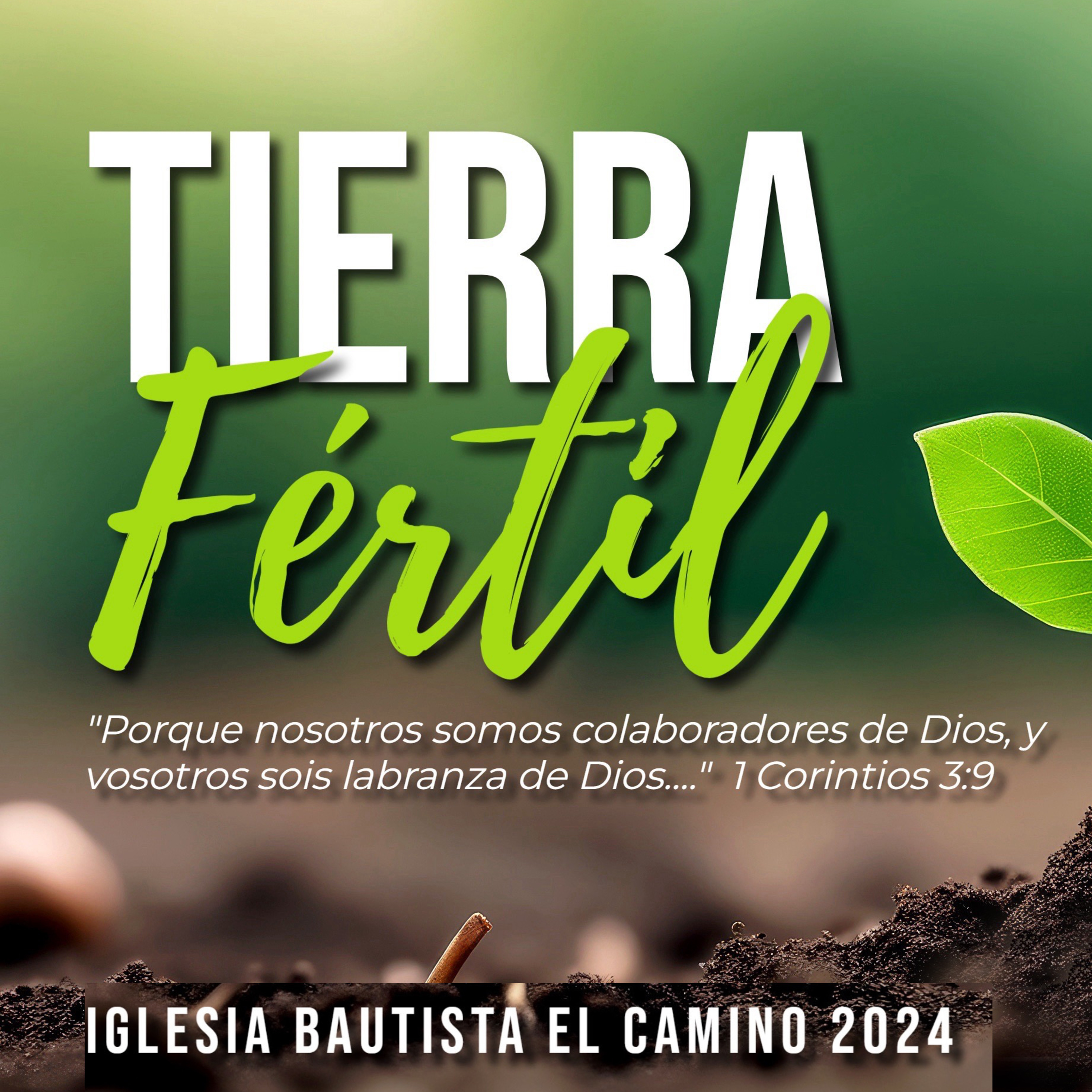 Guerra Espiritual en La Tierra del Corazón | Marcos 4:4,15 | Domingo 1 de Septiembre de 2024 episode artwork