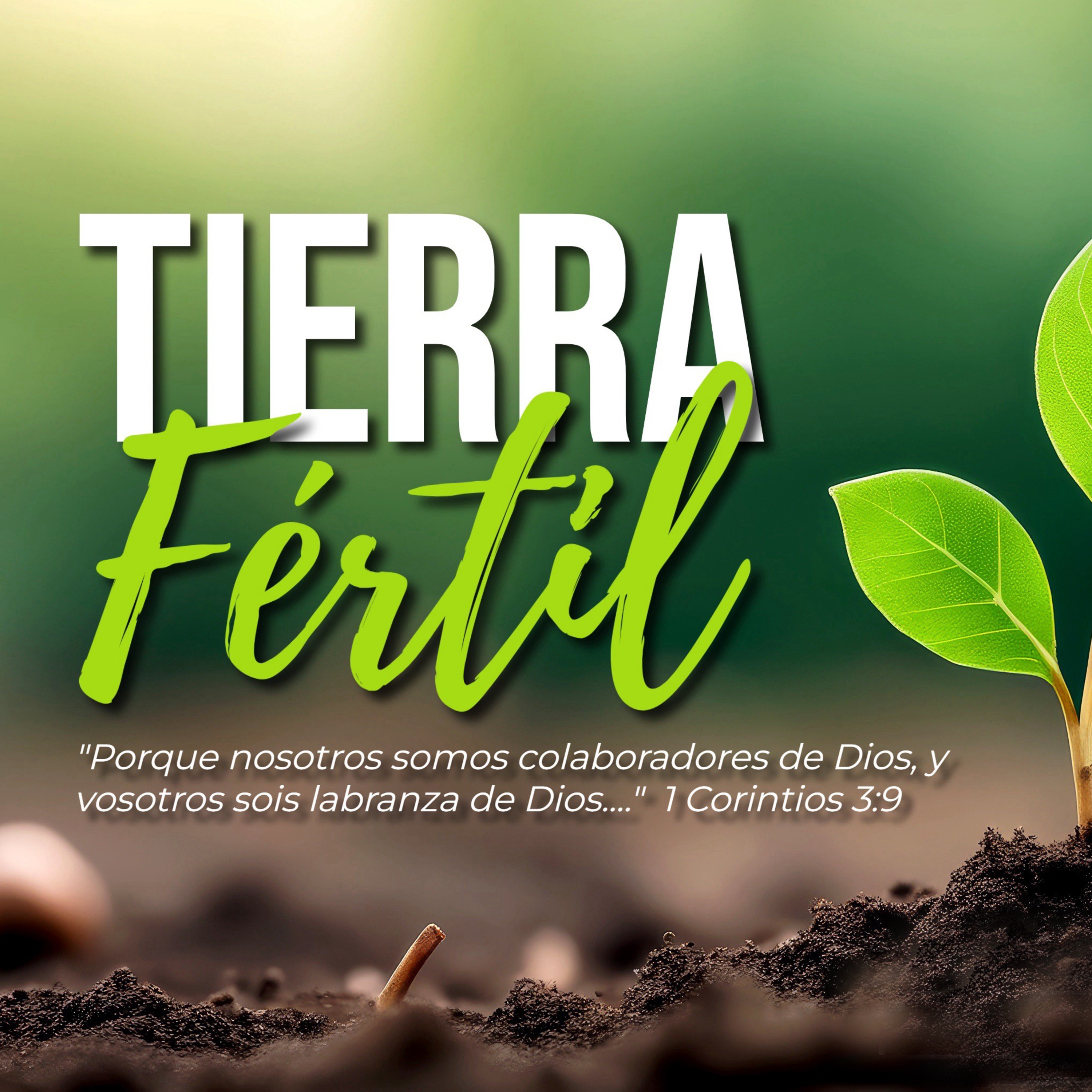Fruto en la Tierra del Corazón | Marcos 4:8,20 | Domingo 29 de Septiembre de 2024 episode artwork