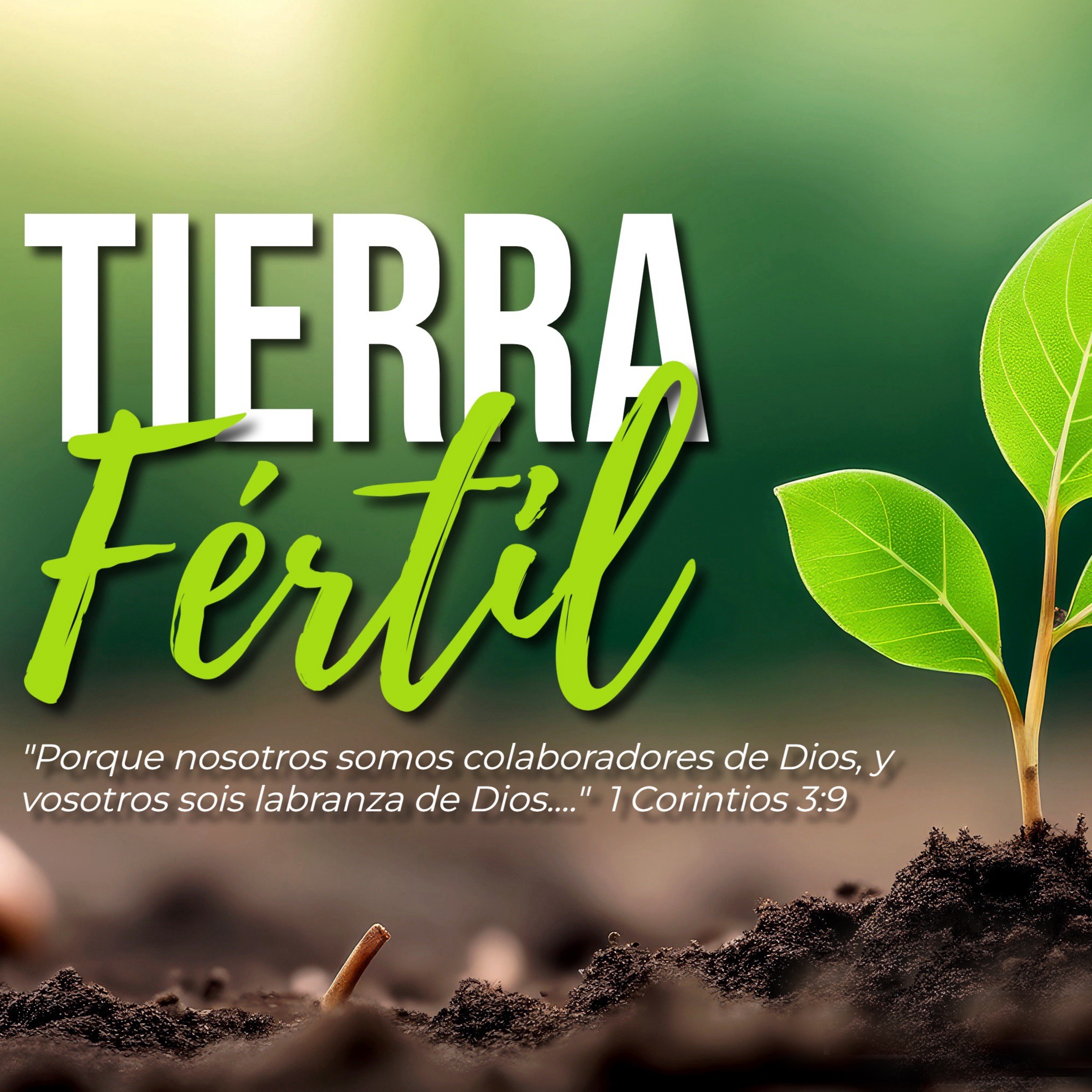 El Potencial de una semilla en La Tierra del Corazón | Marcos 4:30-32 | Domingo 27 de Octubre de 2024 episode artwork