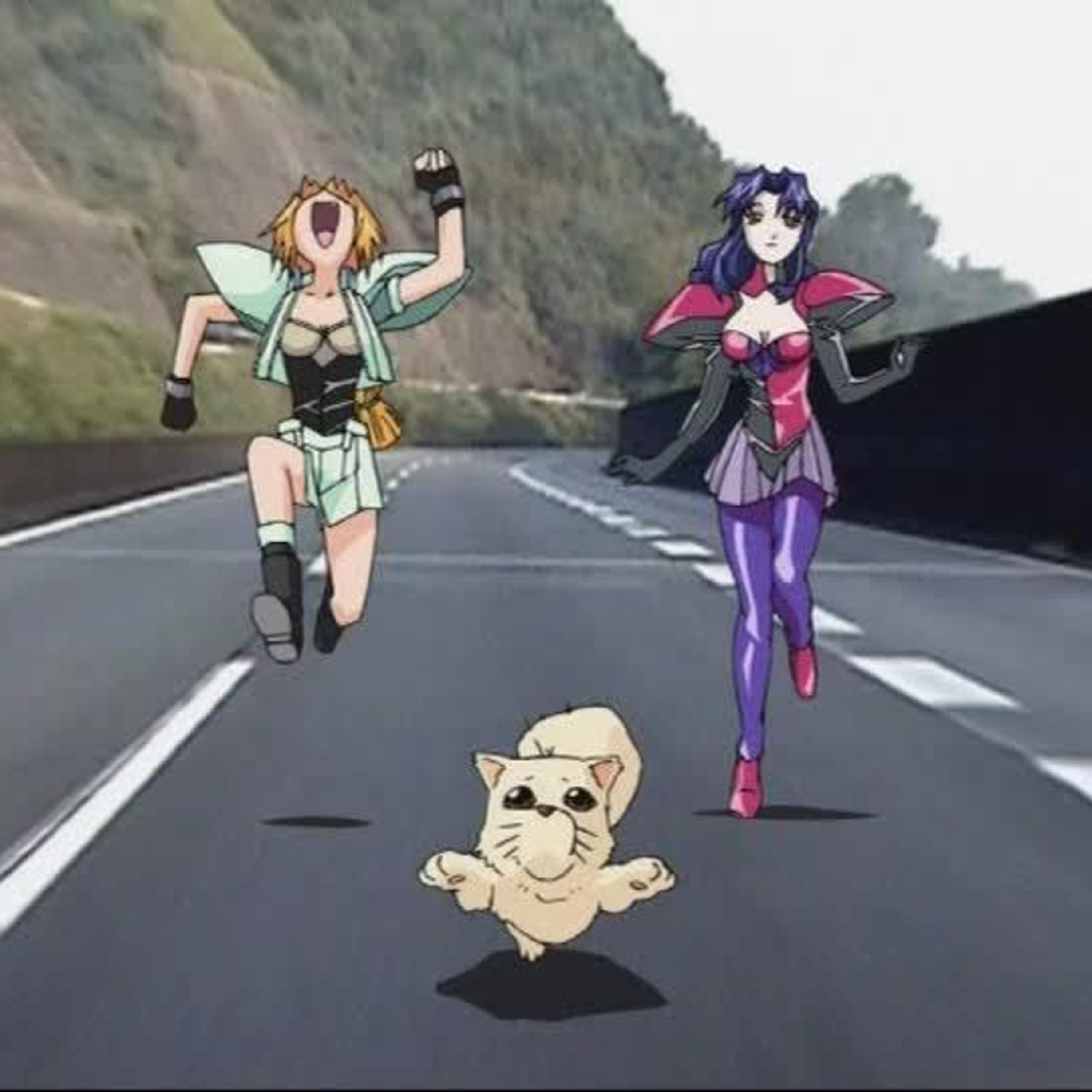 Who\'s That Anime?