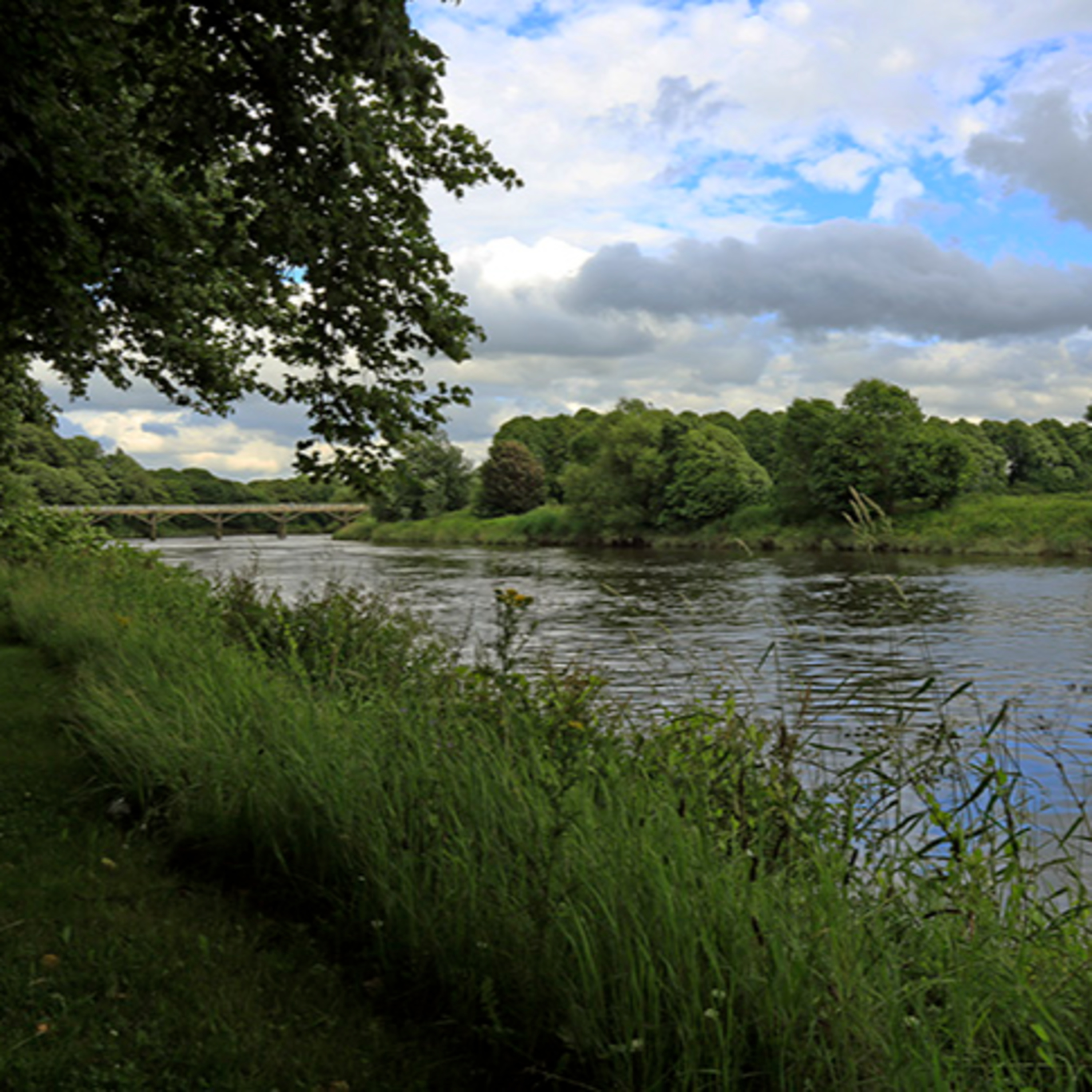 Truth Will Prevail No Matter What the Opposition - Doctrine & Covenants 111-114