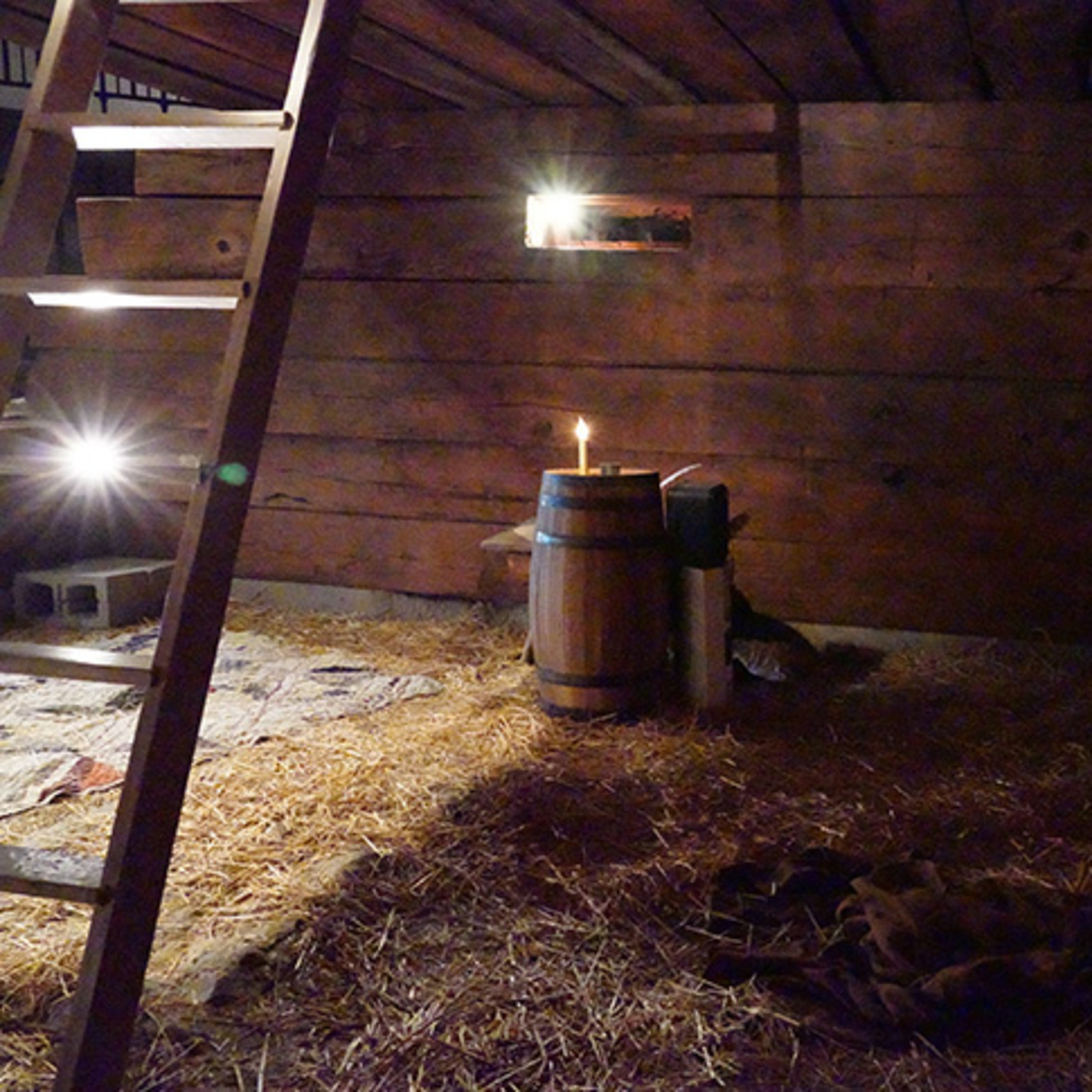 The Prison That Became a Temple: God’s Tutoring at Liberty Jail - Doctrine & Covenants 121-123