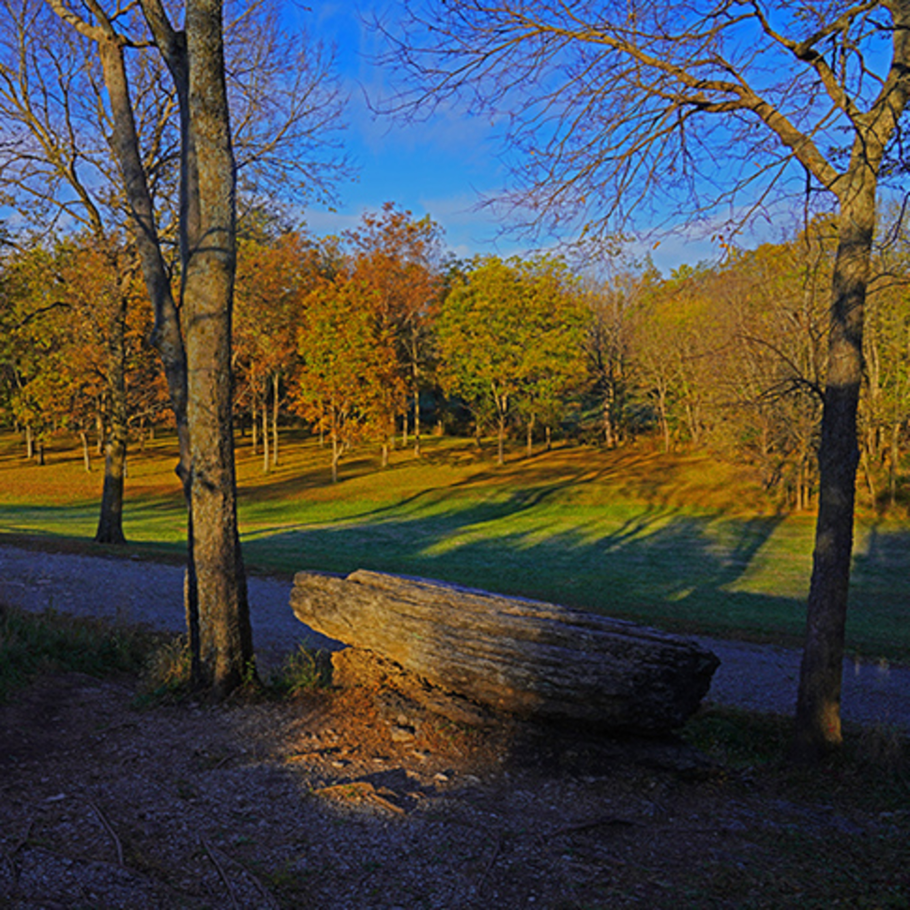 Like Us, They Could Not See A Far Off—Genesis 5; Moses 6