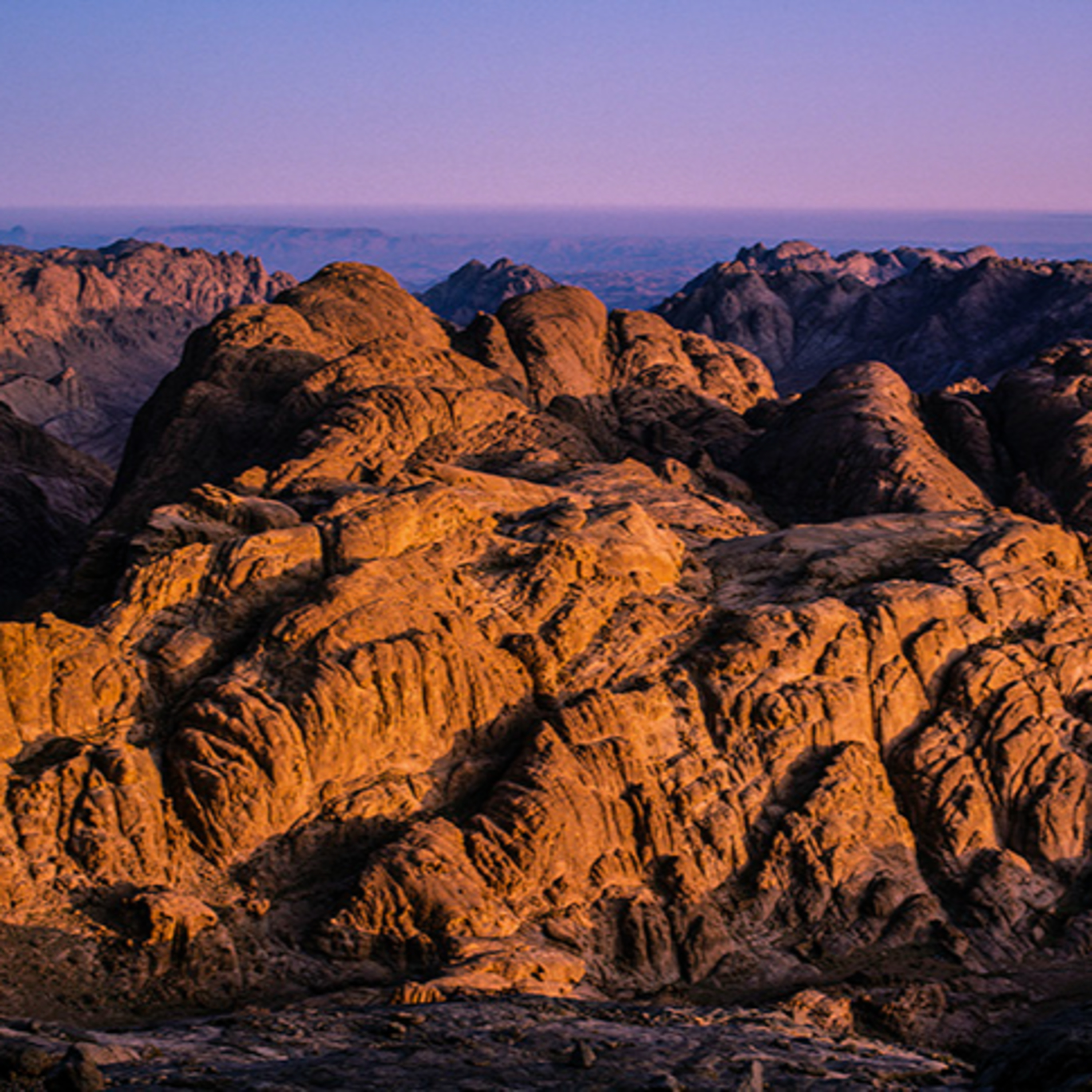 “What is Required to See the Face of God?—Exodus 10-20, 24, 31-34