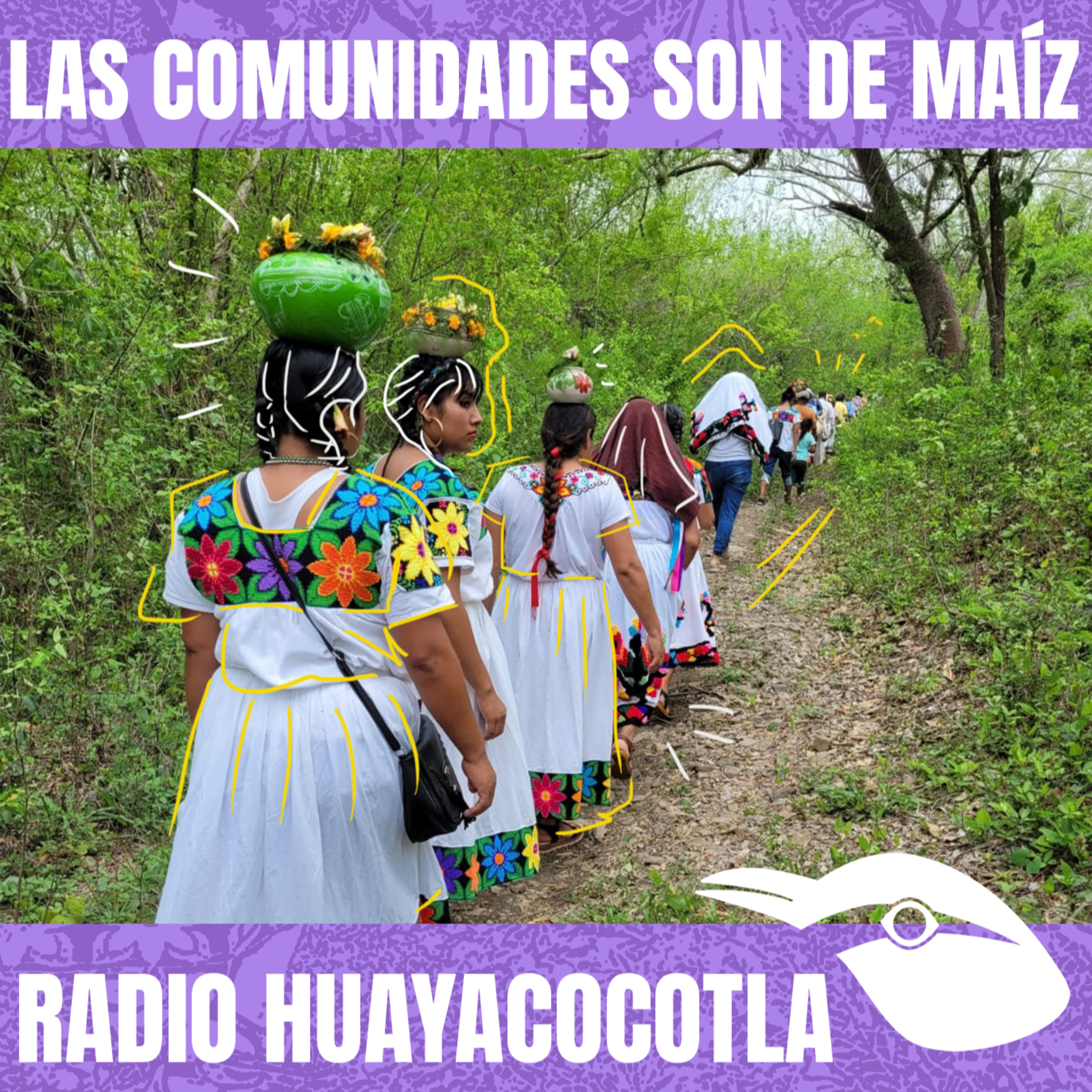 Canto de Cenzontles