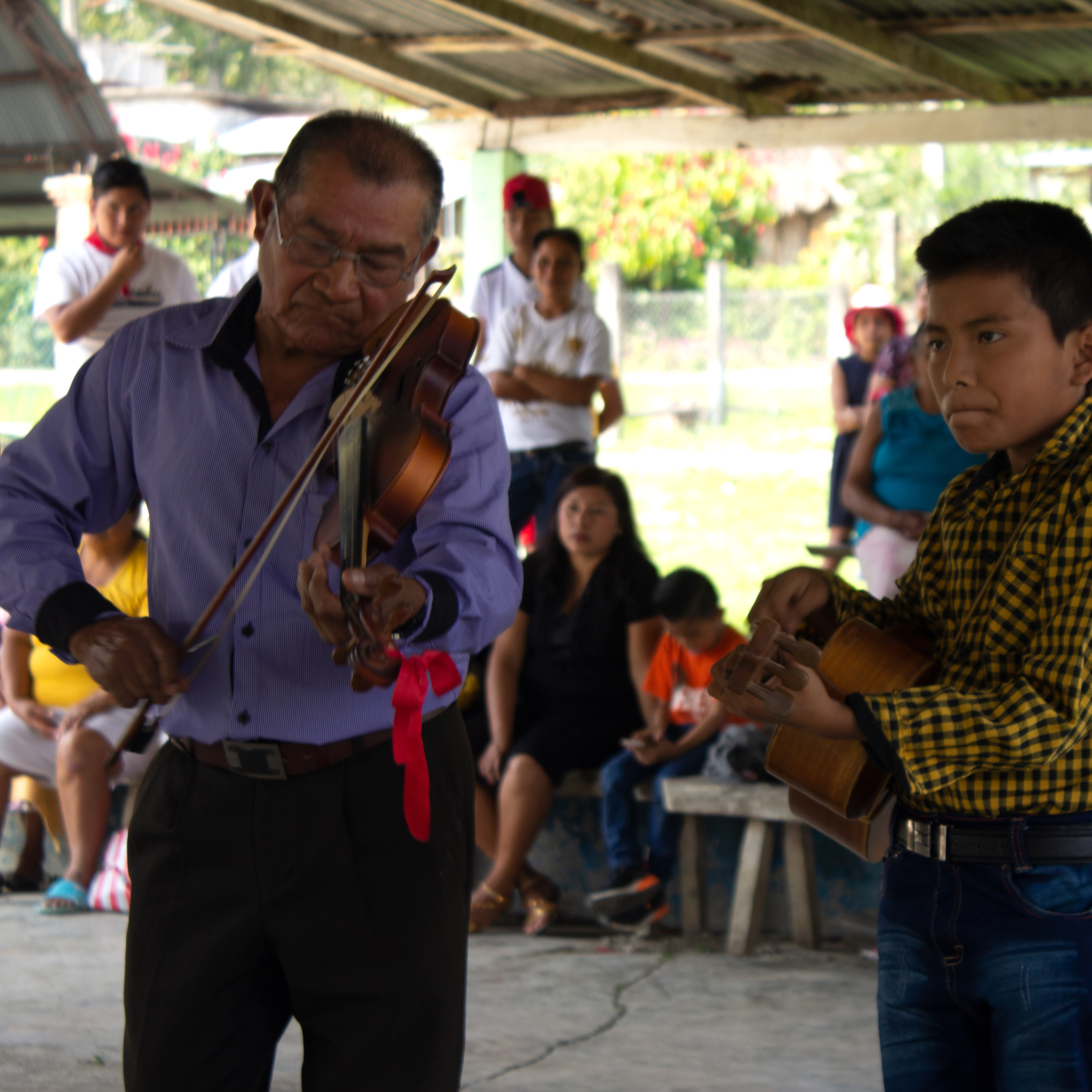 Canto de Cenzontles