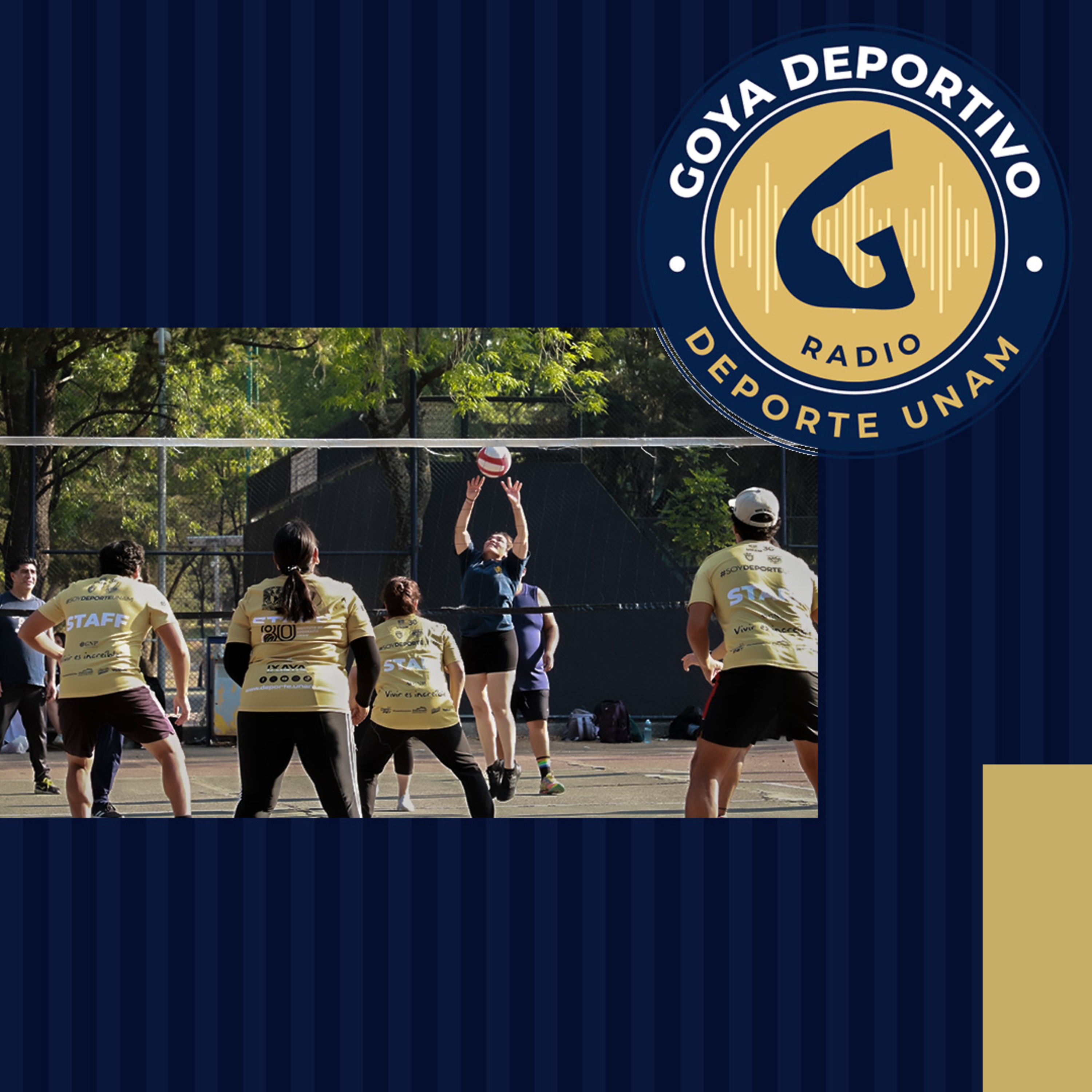Goya Deportivo: Primer torneo mixto de integración episode artwork