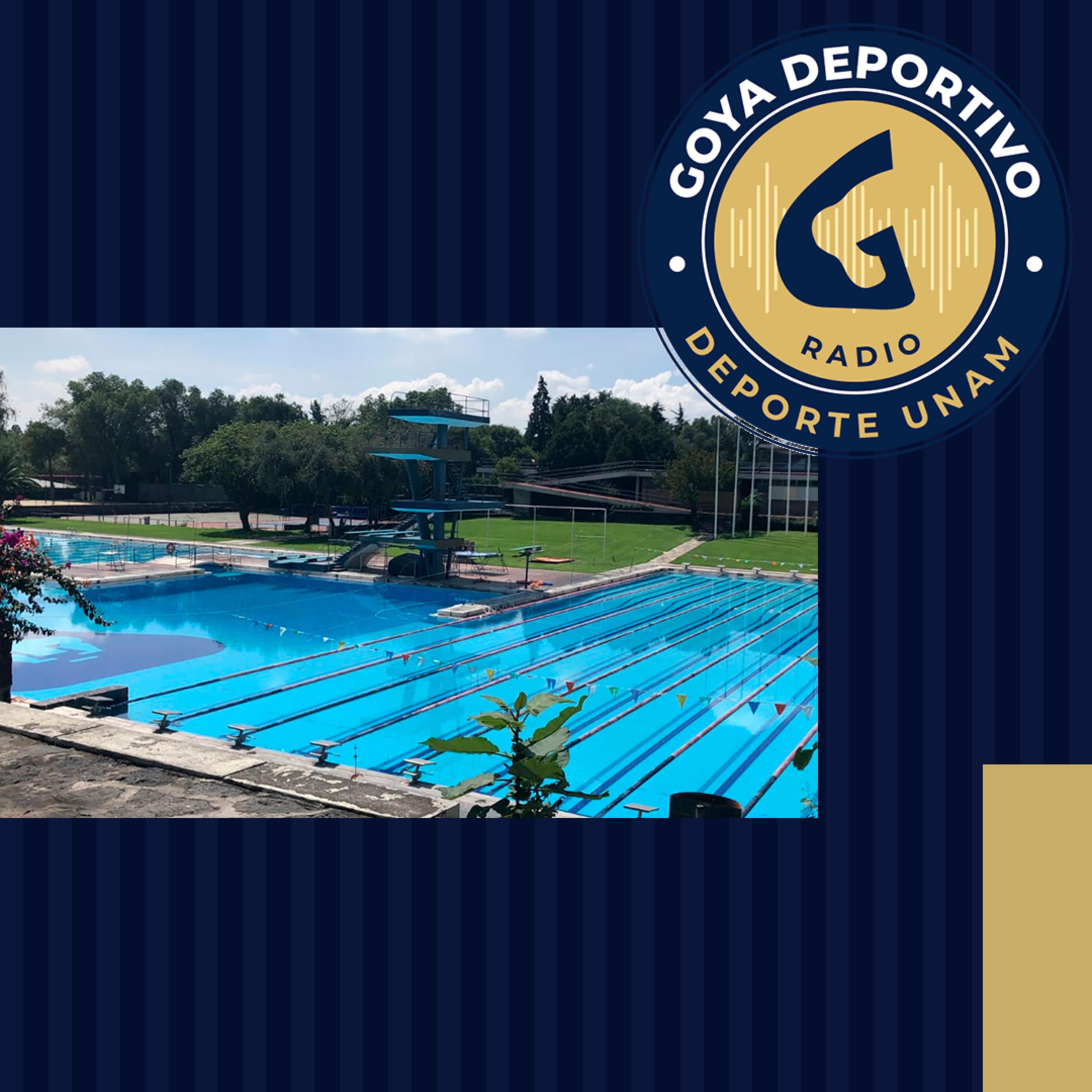 Goya Deportivo: “Prueba de la Hora”, Natación por equipos episode artwork