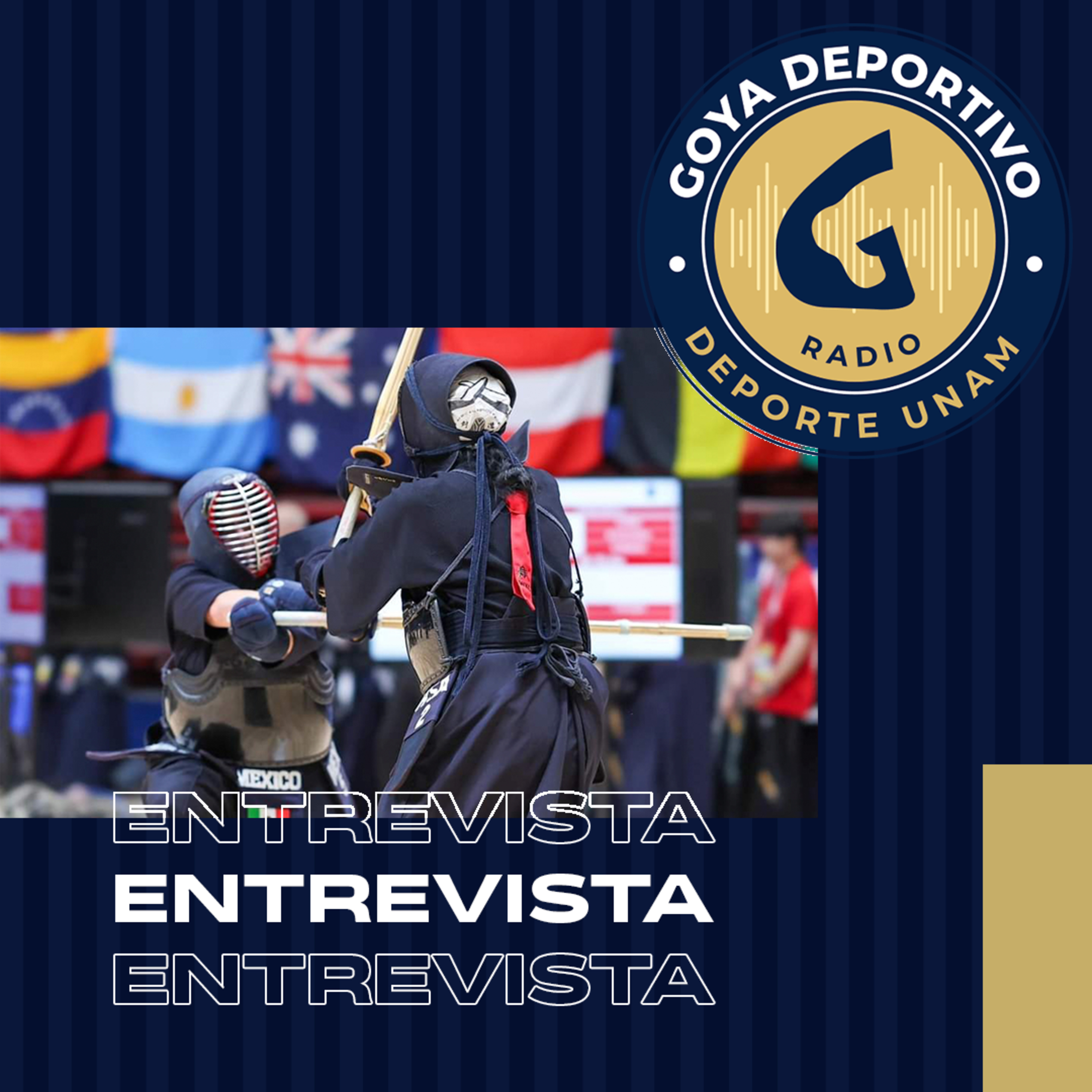 Goya Deportivo: Campeonato Mundial de Kendo 2024 episode artwork
