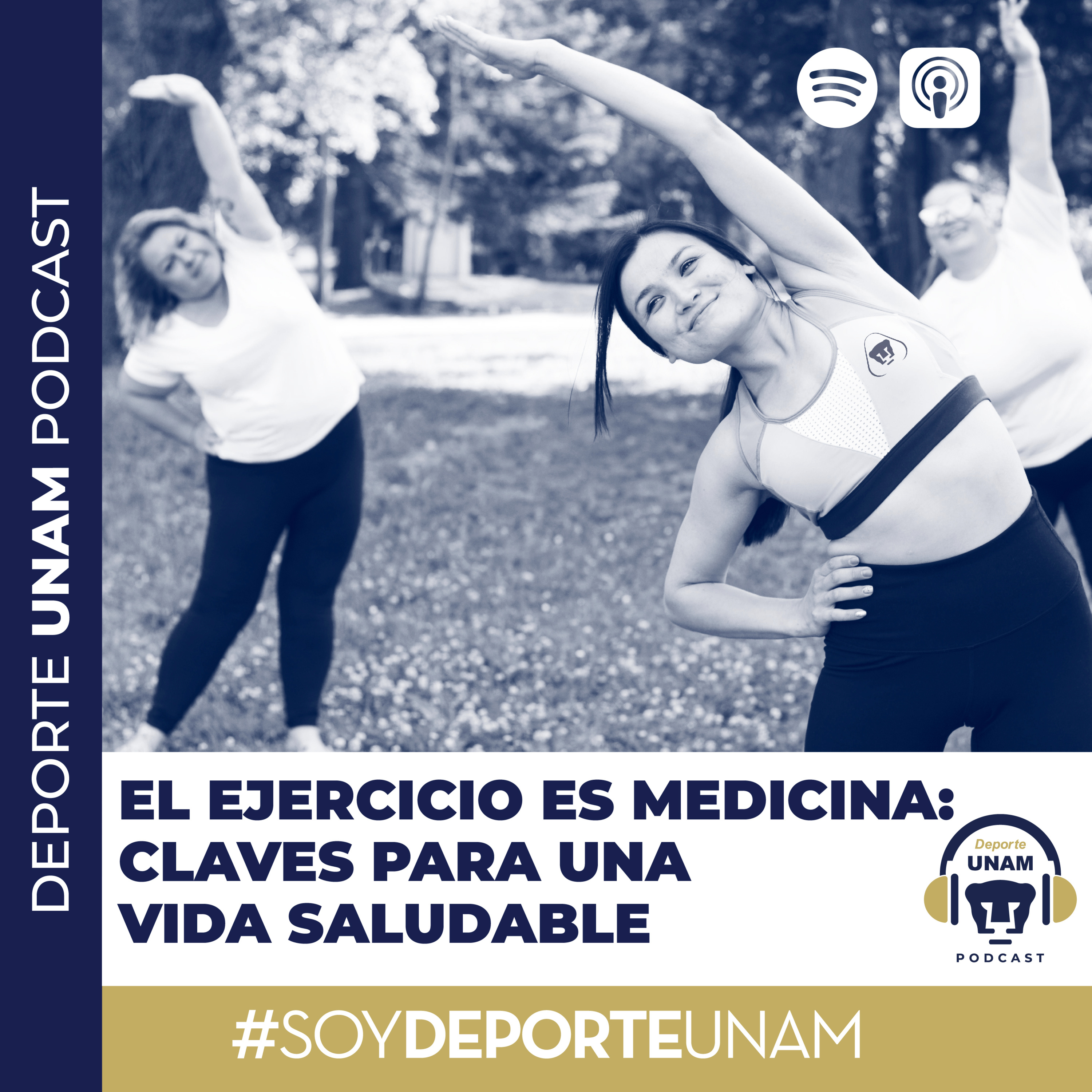 El Ejercicio es Medicina: Claves para una Vida Saludable episode artwork